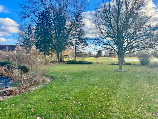 a view of a trees in front of a house