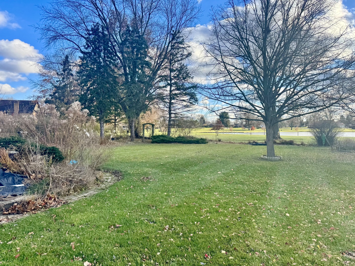 2939 East Hickory Lane Crete, IL 60417 - Photo 2 of 7 a view of a trees in front of a house