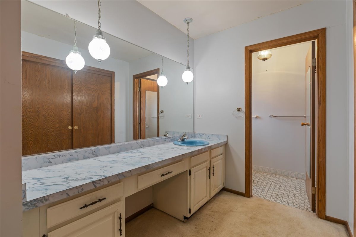 2939 East Hickory Lane Crete, IL 60417 - Photo 26 of 39