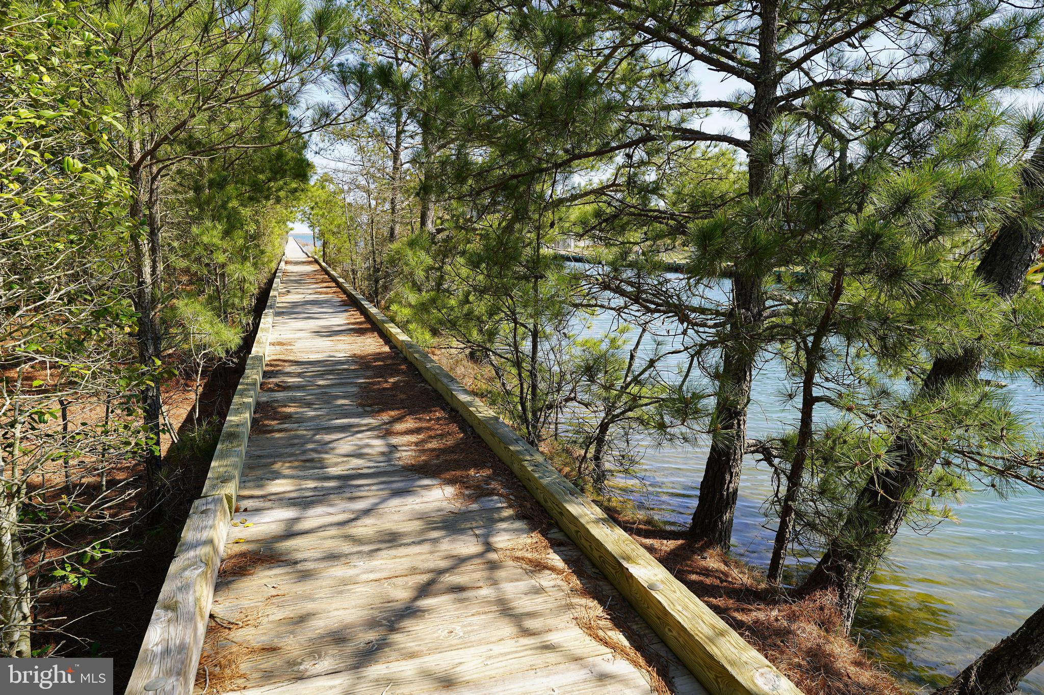 12155 Snug Harbor Road Berlin, MD 21811 - Photo 62 of 77 Gallery Image 62