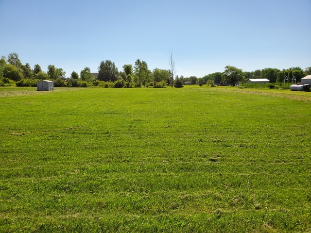 2806 2559th Road Marseilles, IL 61341 - Photo 3 of 3 a view of a grassy field with trees in the background