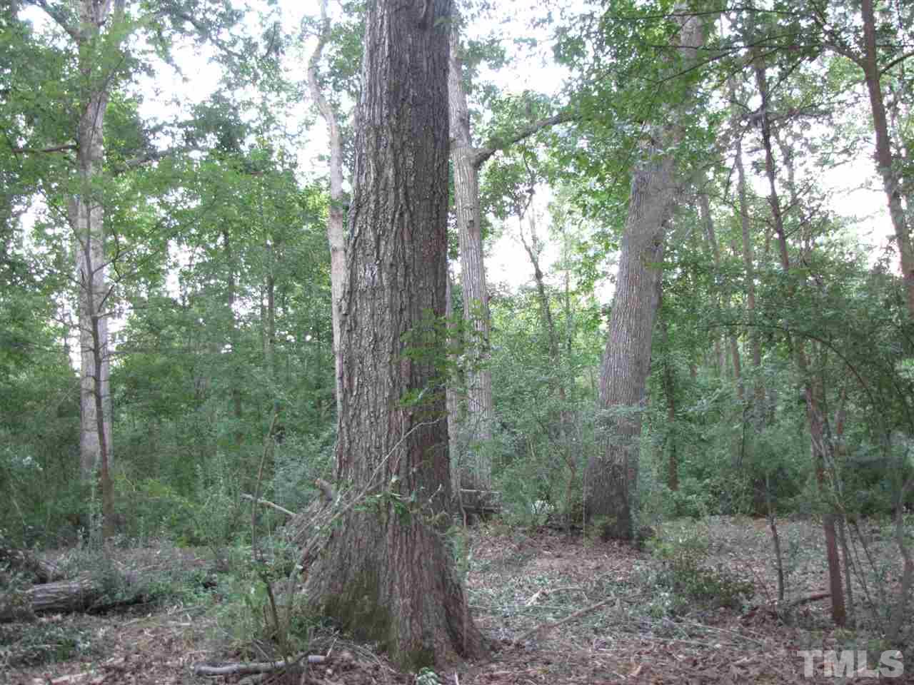 105 James Road Pittsboro, NC 27312 - Photo 11 of 15 Backyard, it feels like it goes on forever! A stroll thru the woods