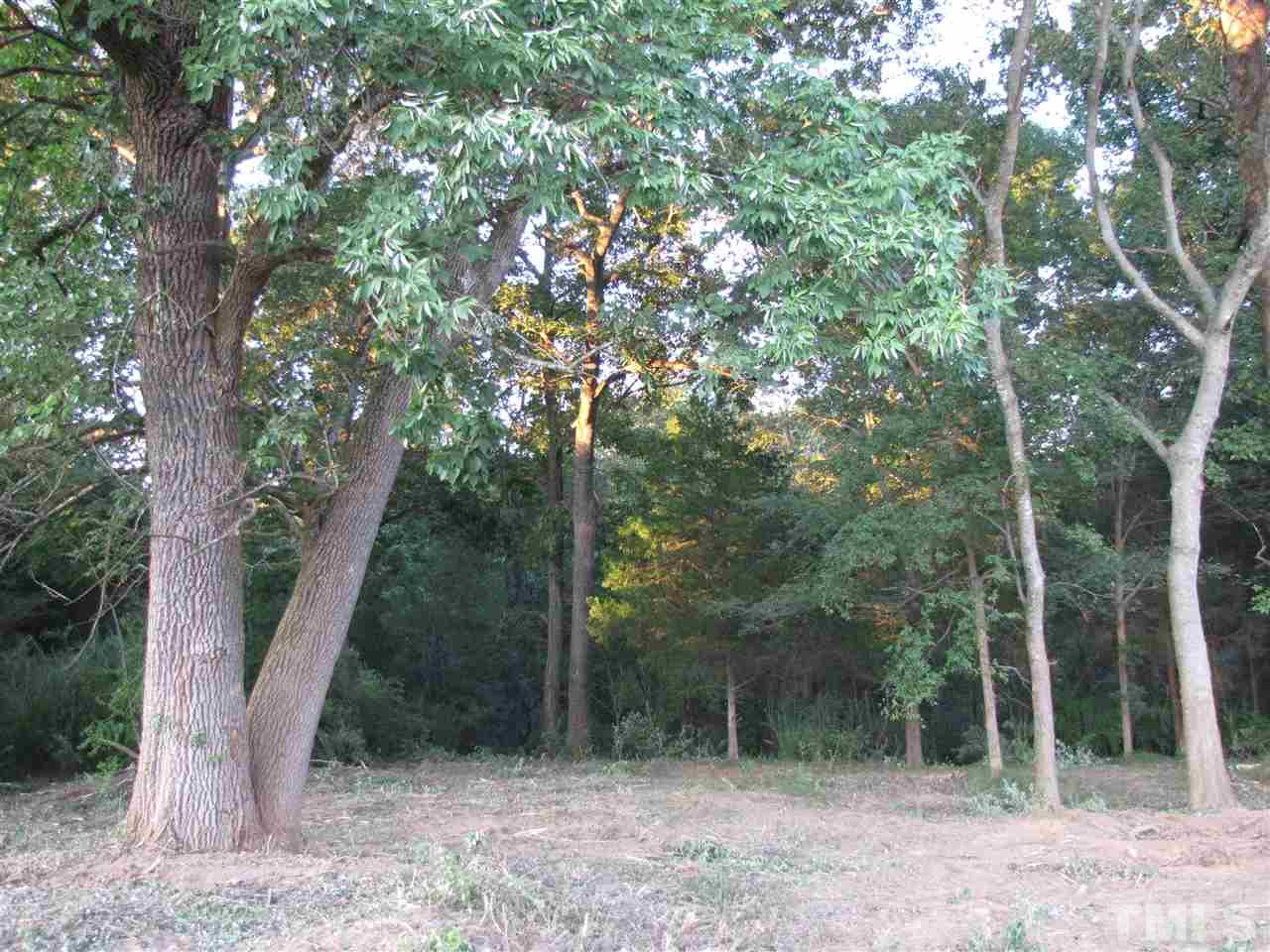 105 James Road Pittsboro, NC 27312 - Photo 12 of 15 Backyard is going to be lovely!