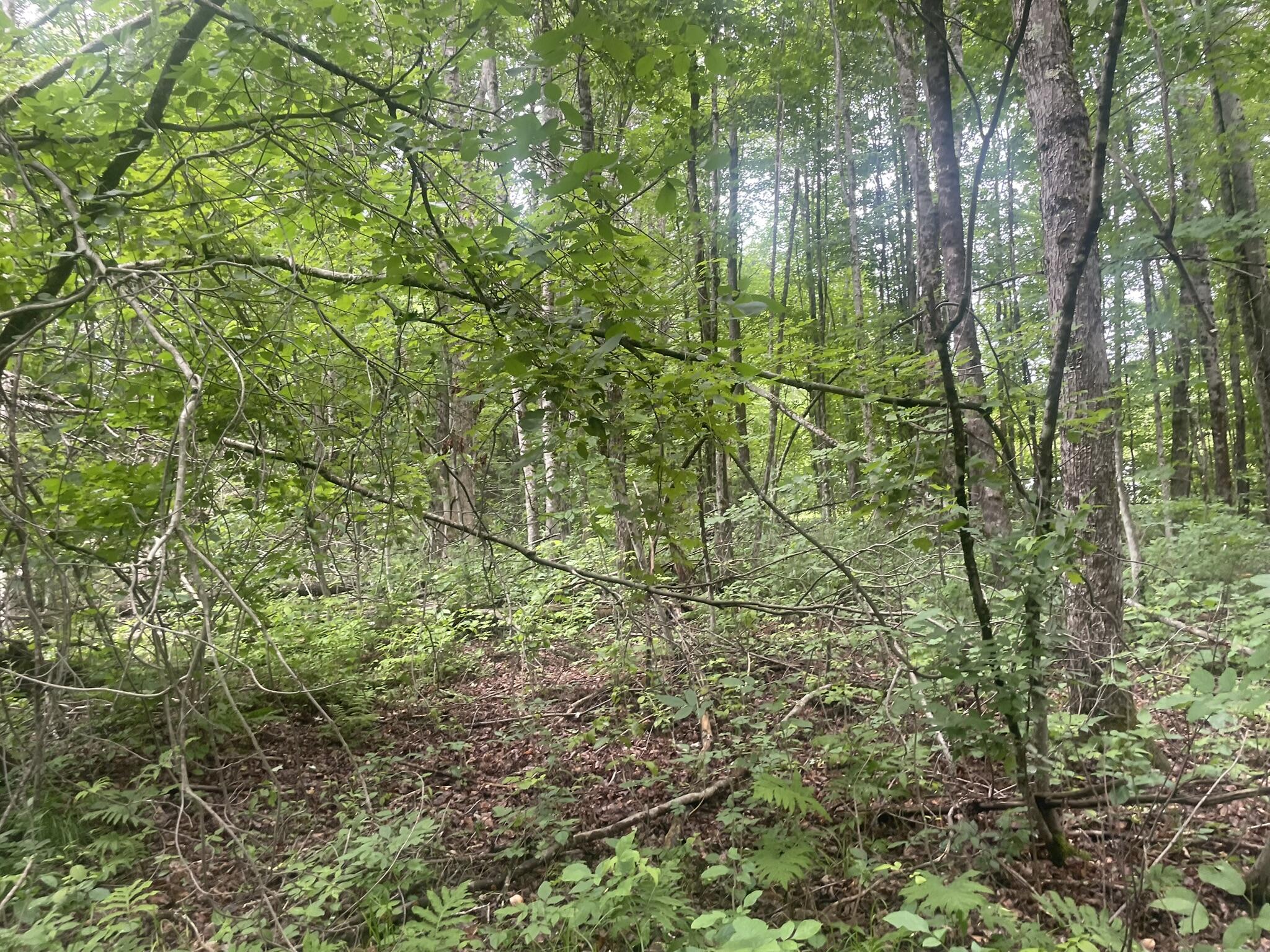 1075 Hill Road Clinton, ME 04927 - Photo 103 of 172 IMG_6201