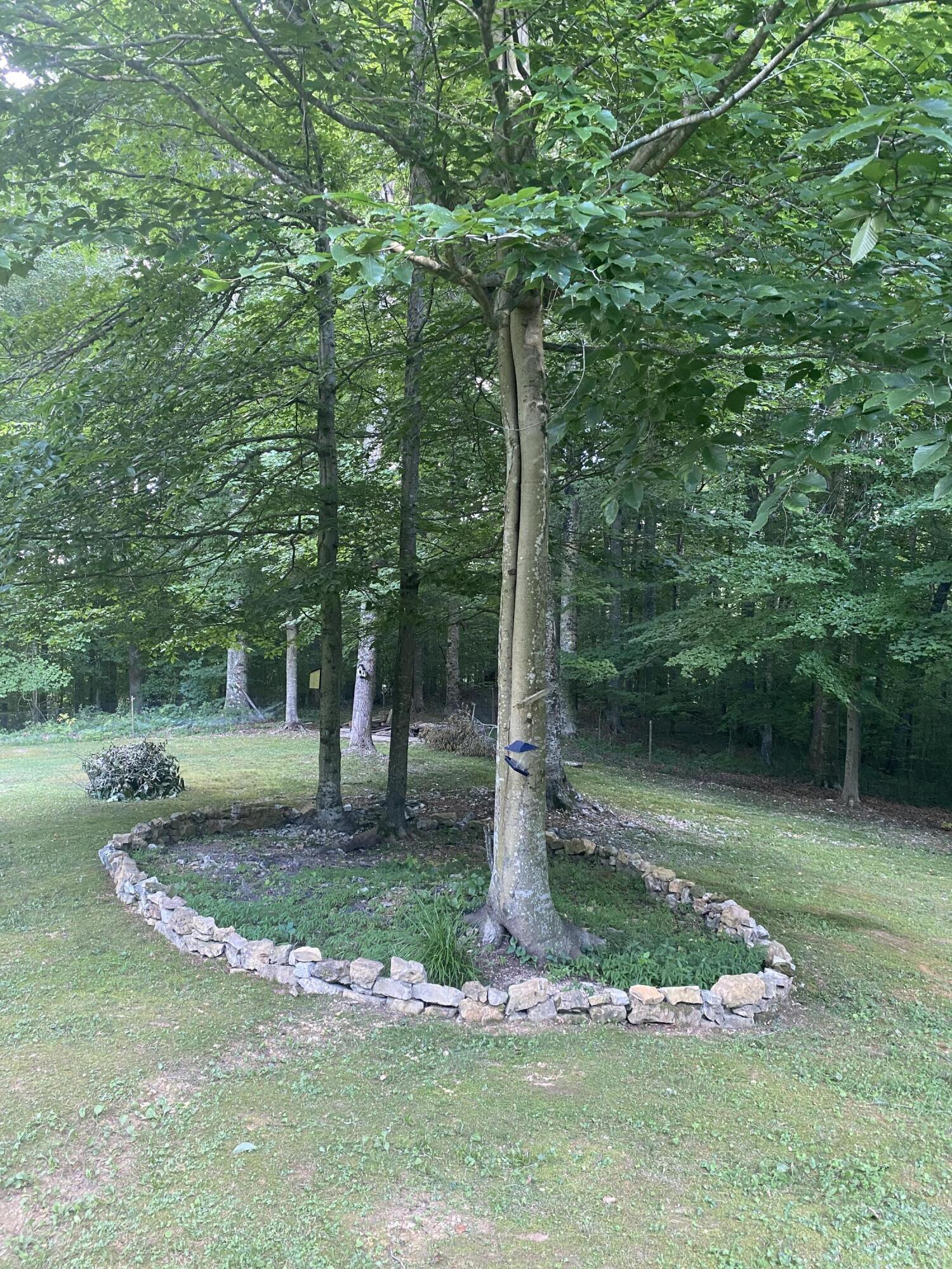 290 Adams Road Science Hill, KY 42553 - Photo 27 of 34 97634224-AB69-4FC8-BC9E-3209664A7485<|><