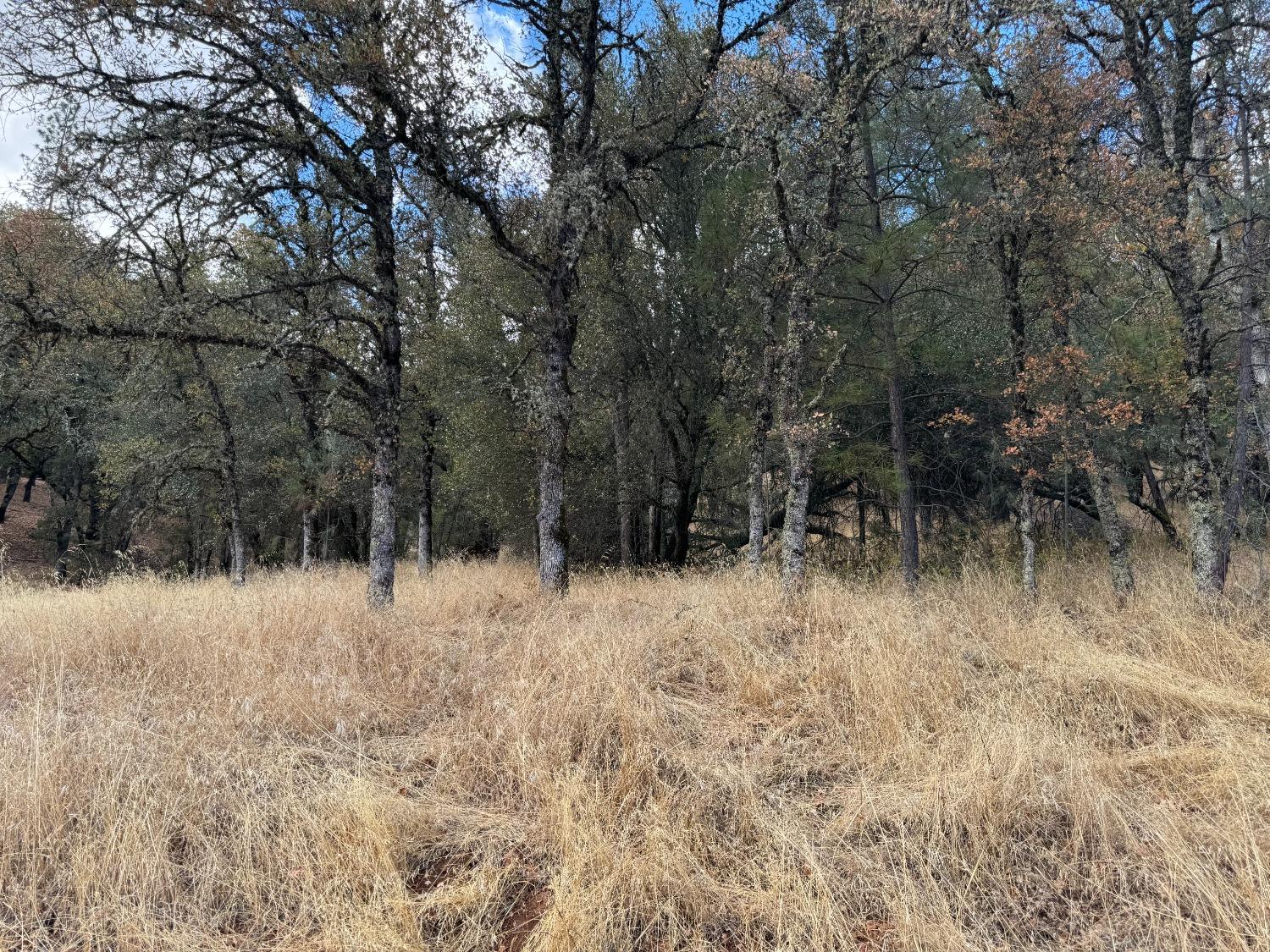 17022 Brewer Road Grass Valley, CA 95949 - Photo 3 of 9