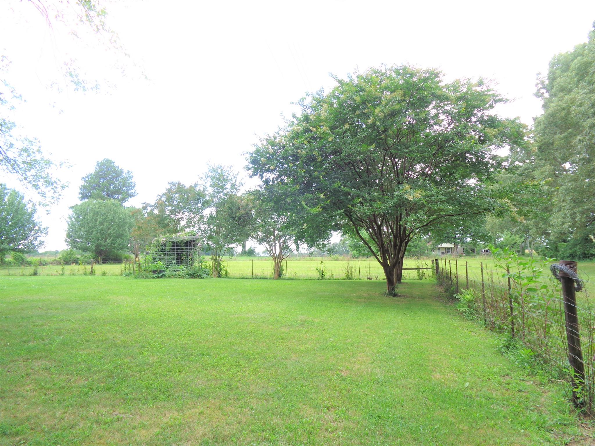 46 Gore Road Lawrenceburg, TN 38464 - Photo 19 of 30 Fenced and cross fenced