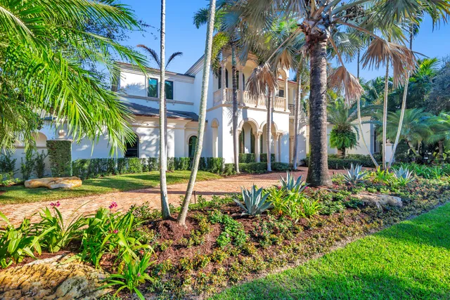 a view of a backyard with palm trees