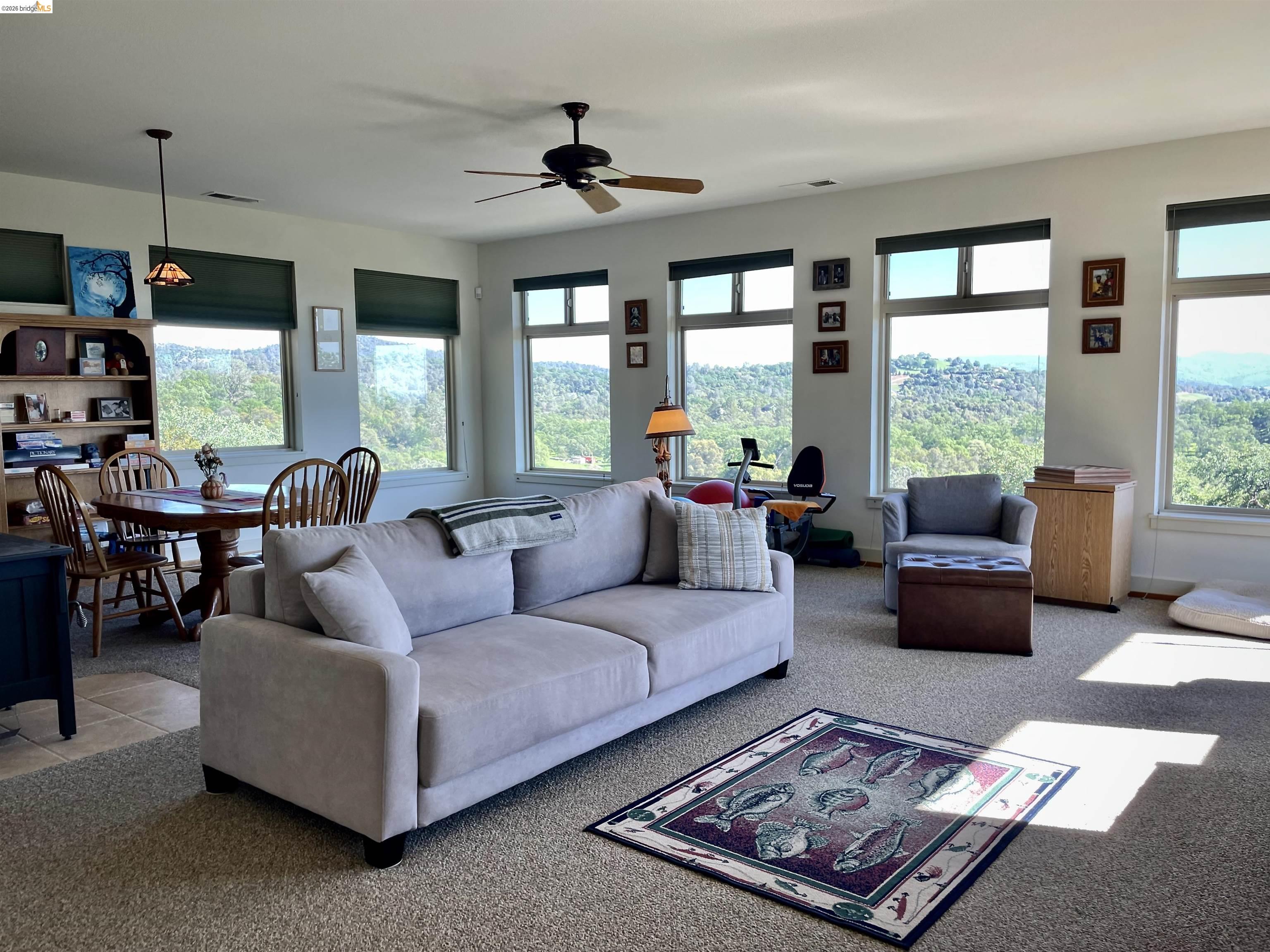 18288 Lambert Lake Road Sonora, CA 95370 - Photo 35 of 55 Living area featuring plenty of natural light, a ceiling fan, and carpet