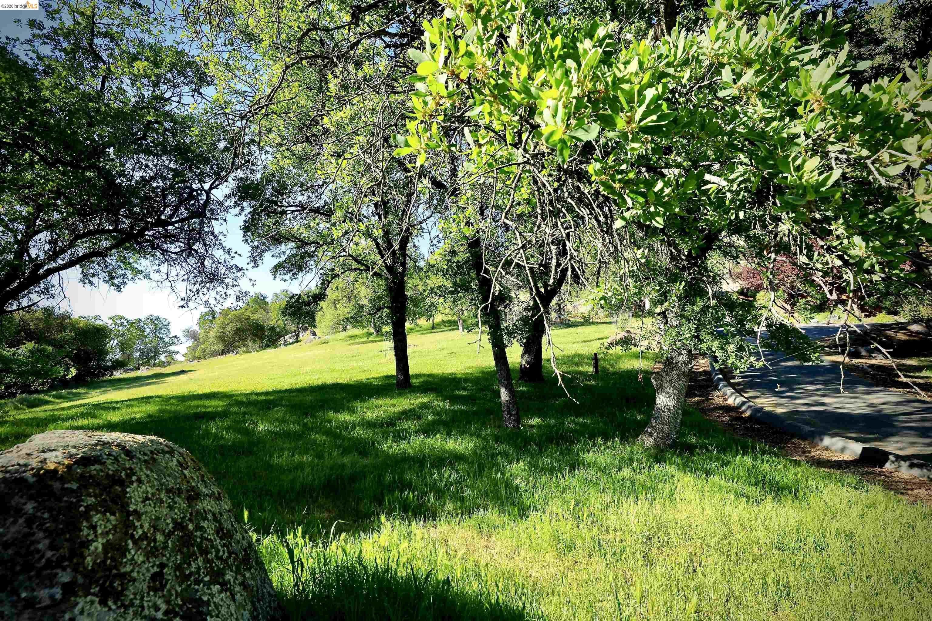 18288 Lambert Lake Road Sonora, CA 95370 - Photo 52 of 55 View of green lawn