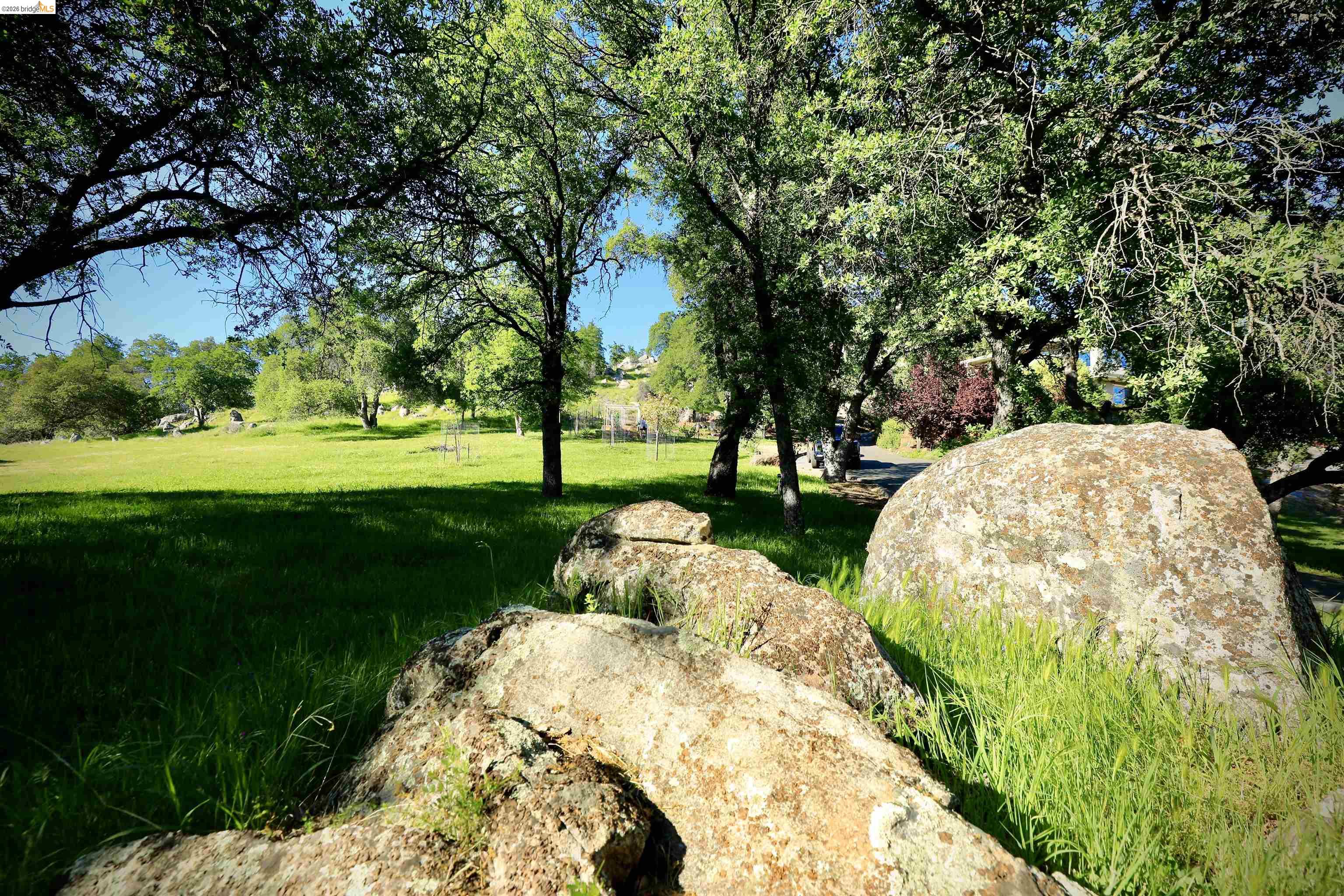 18288 Lambert Lake Road Sonora, CA 95370 - Photo 53 of 55 View of green lawn
