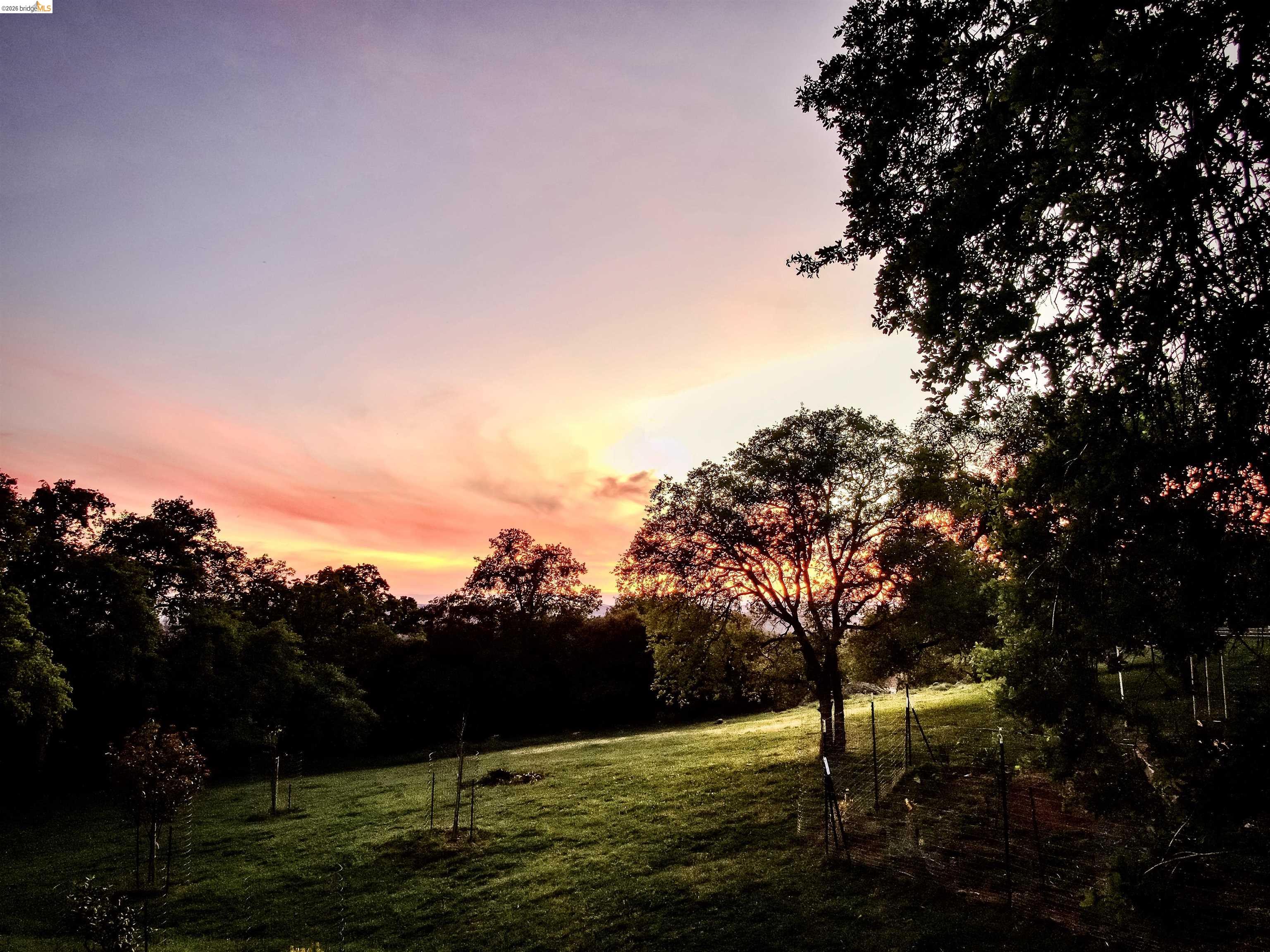 18288 Lambert Lake Road Sonora, CA 95370 - Photo 54 of 55 View of undeveloped land
