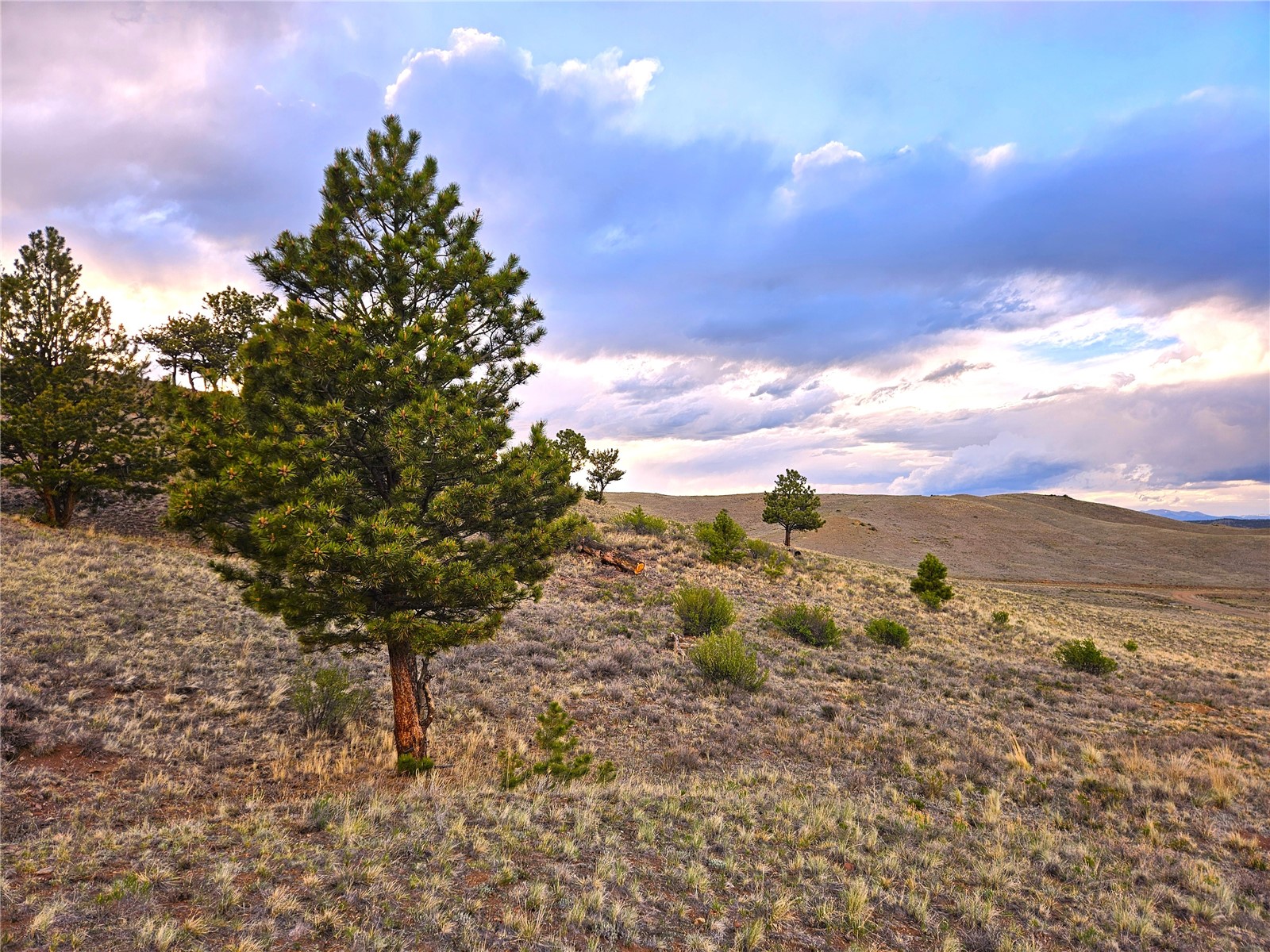 Pcs#25427 Yuma Road Hartsel, CO 80449 - Photo 24 of 29