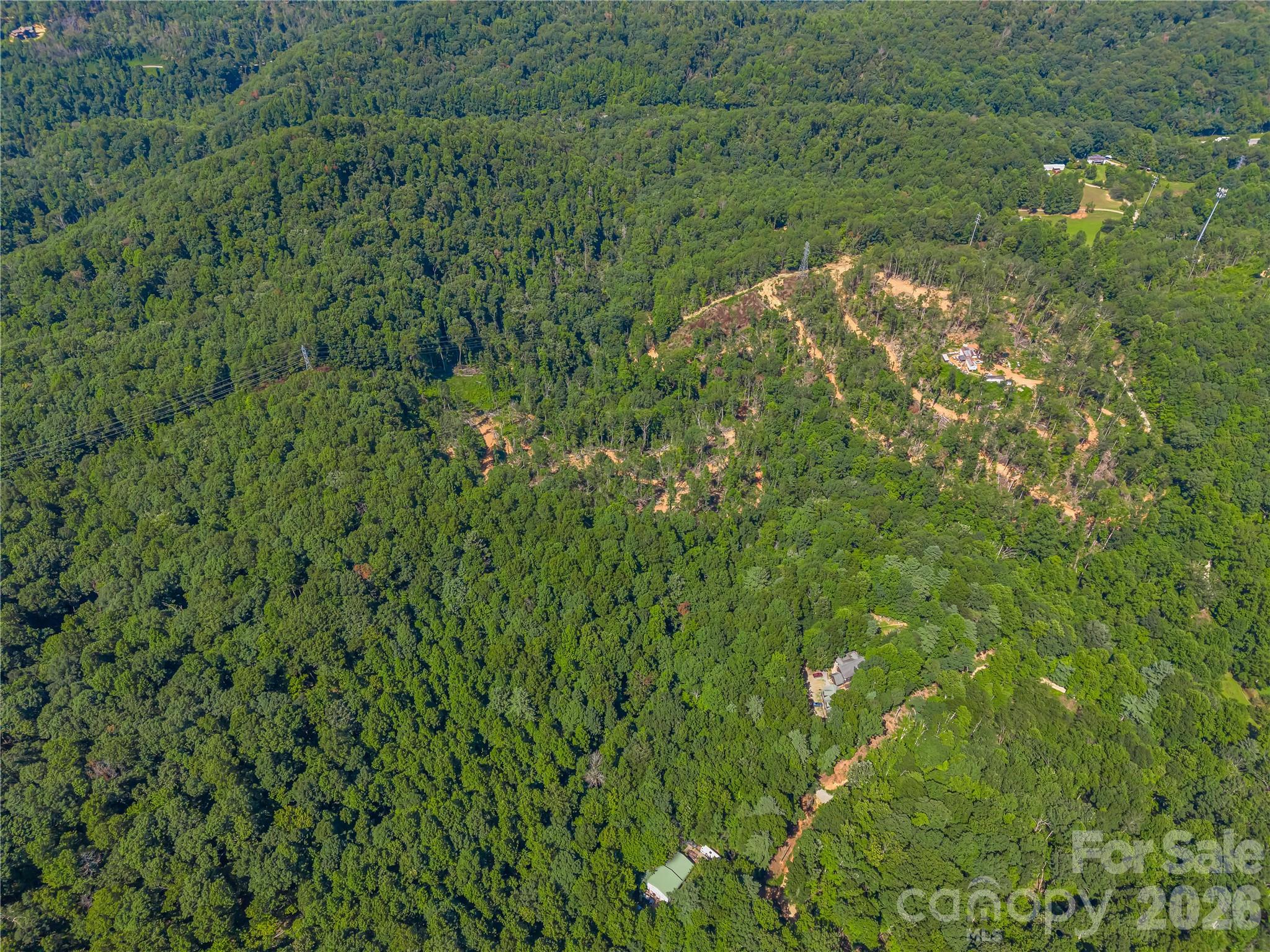 Tbd Early Road Saluda, NC 28773 - Photo 24 of 35 Gallery Image 24