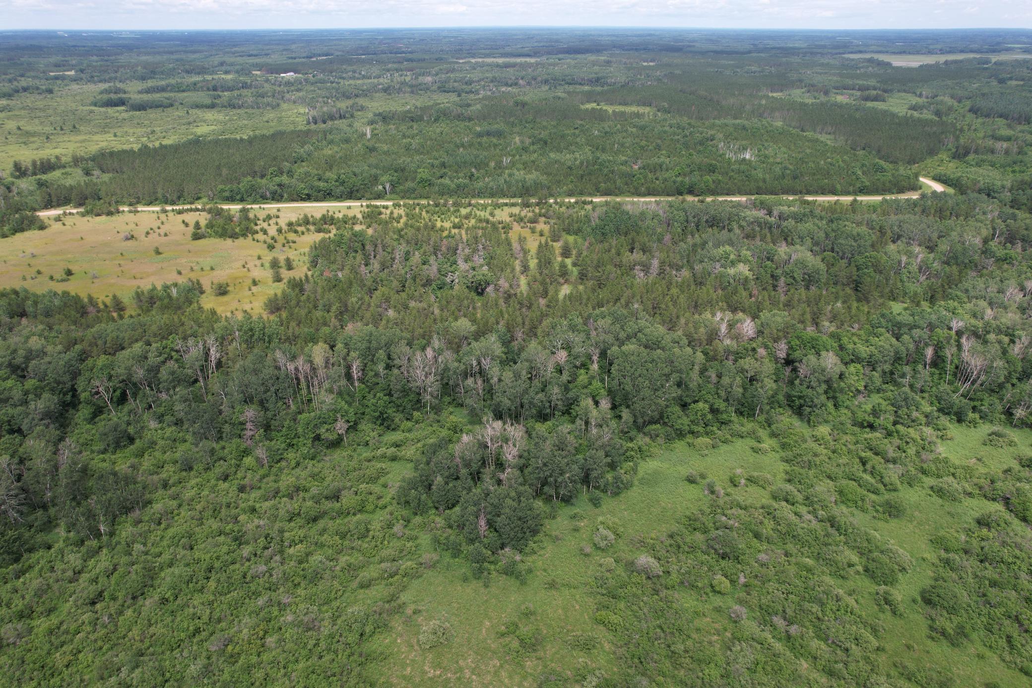 Tbd 350th Street Sebeka, MN 56477 - Photo 4 of 100