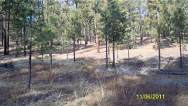 2000 Ray Anderson Road Kettle Falls, WA 99141 - Photo 4 of 8 Gallery Image 4