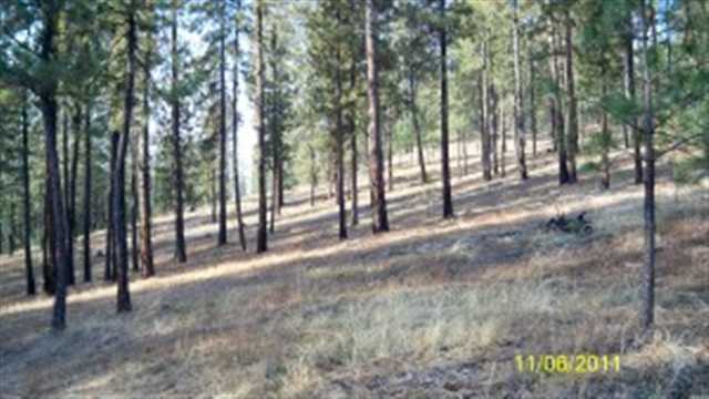 2000 Ray Anderson Road Kettle Falls, WA 99141 - Photo 5 of 8 Gallery Image 5