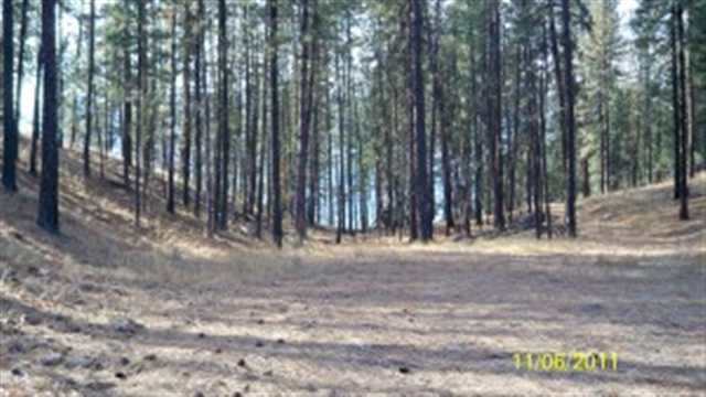 2000 Ray Anderson Road Kettle Falls, WA 99141 - Photo 6 of 8 Gallery Image 6