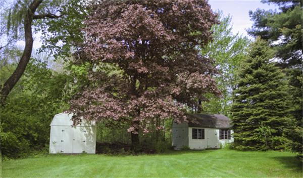 81 Wyman Road Billerica, MA 01821 - Photo 5 of 18 Gallery Image 5