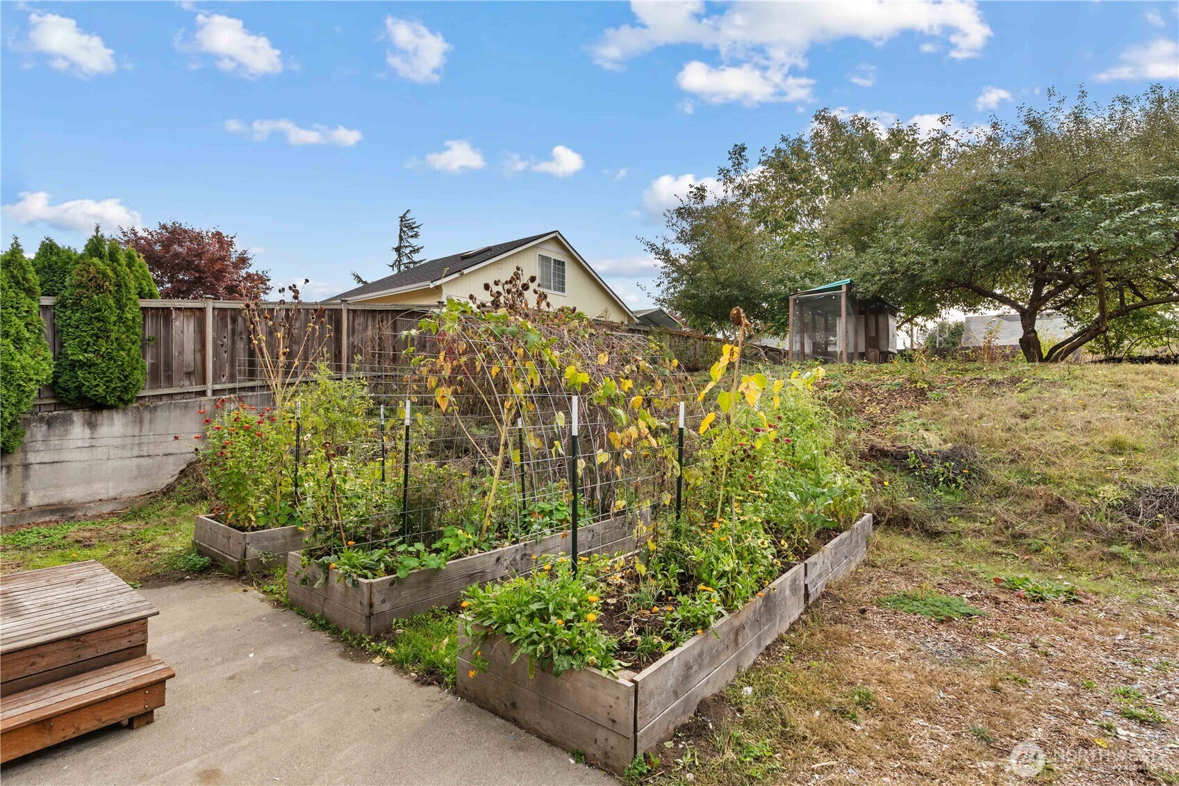 624 West Main Street Sumner, WA 98390 - Photo 21 of 34 a view of a garden