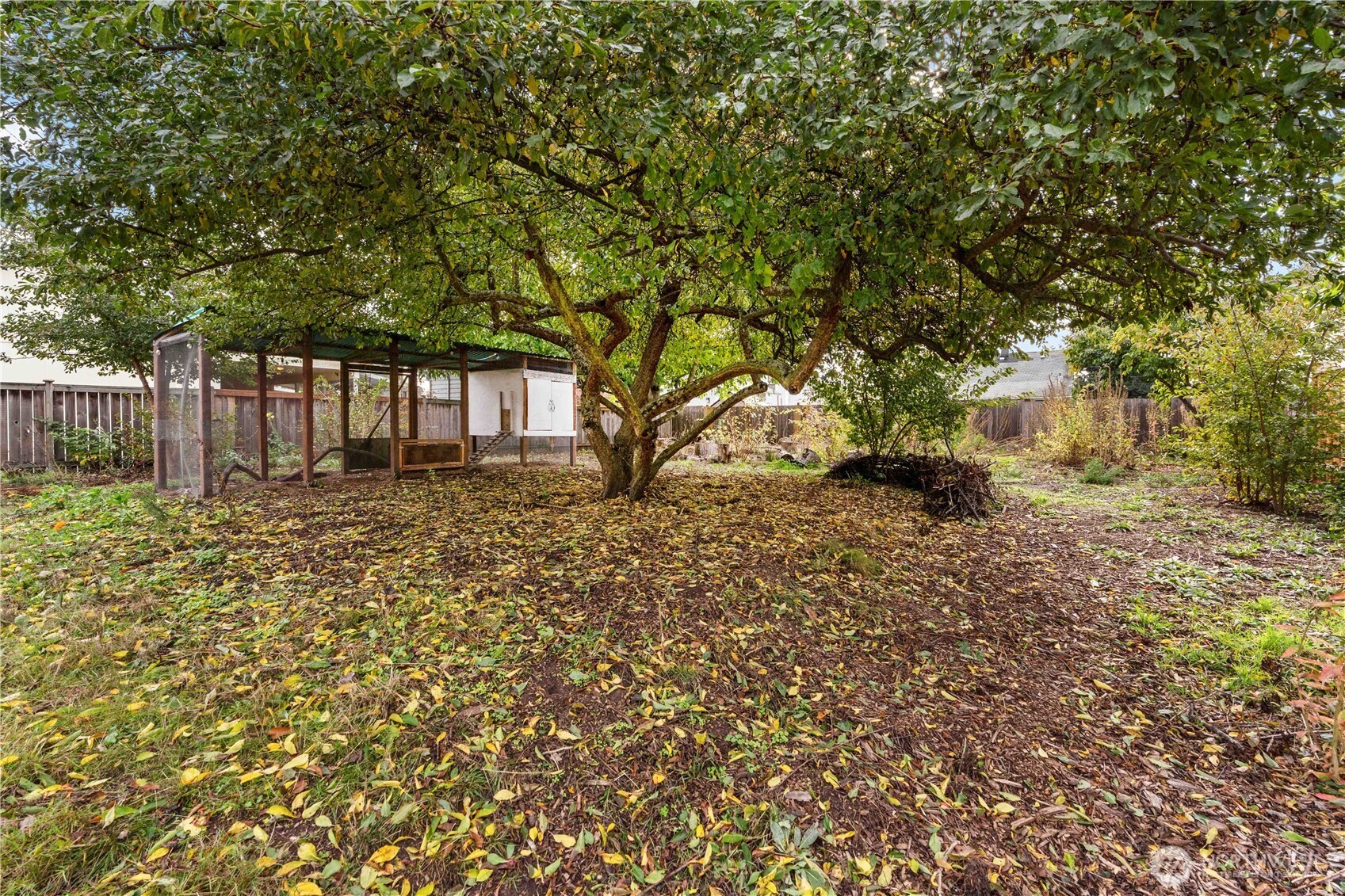 624 West Main Street Sumner, WA 98390 - Photo 22 of 34 a front view of a house with a yard