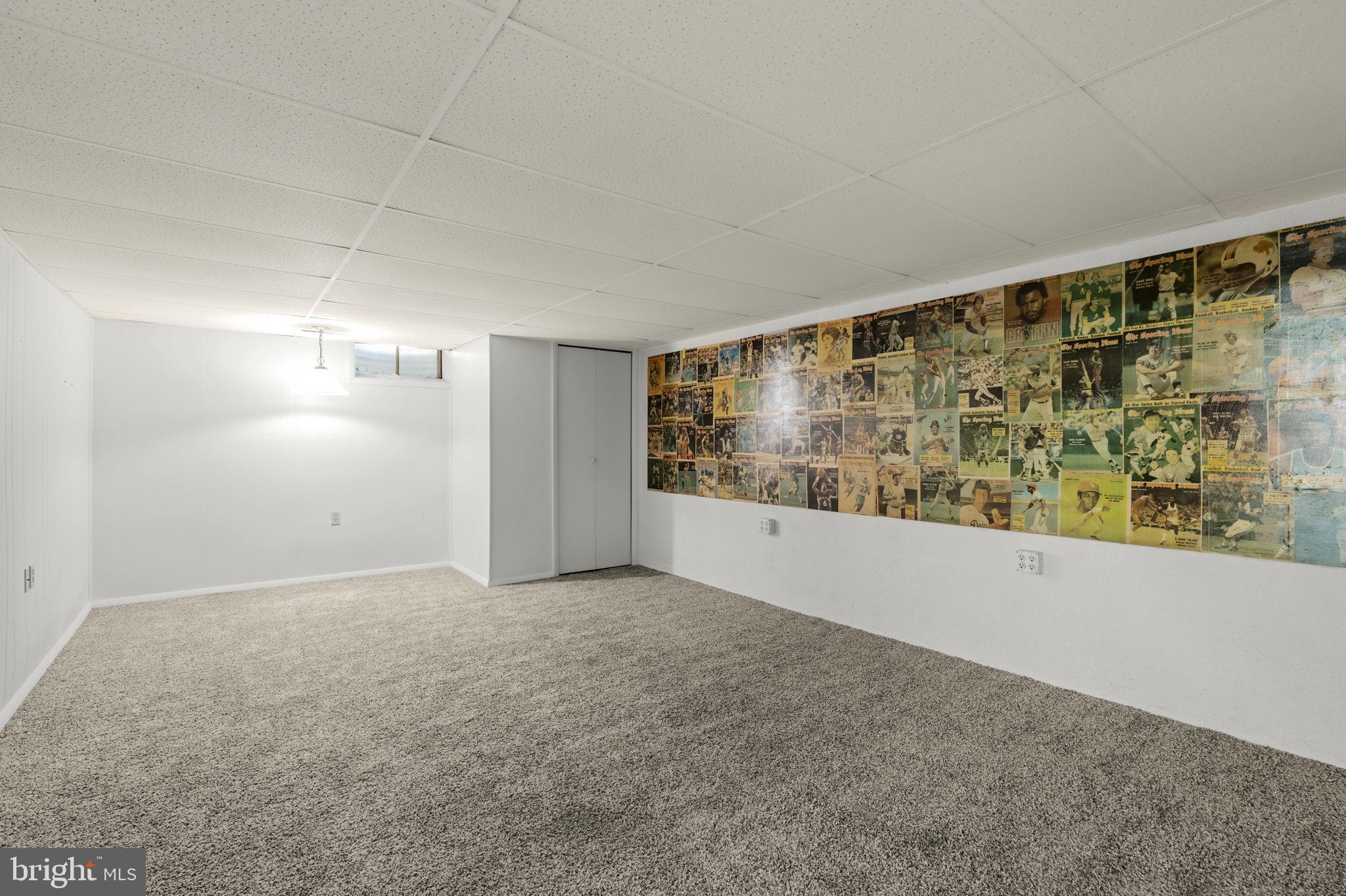 4107 Trowbridge Road York, PA 17402 - Photo 28 of 50 Spacious basement with unique mural.