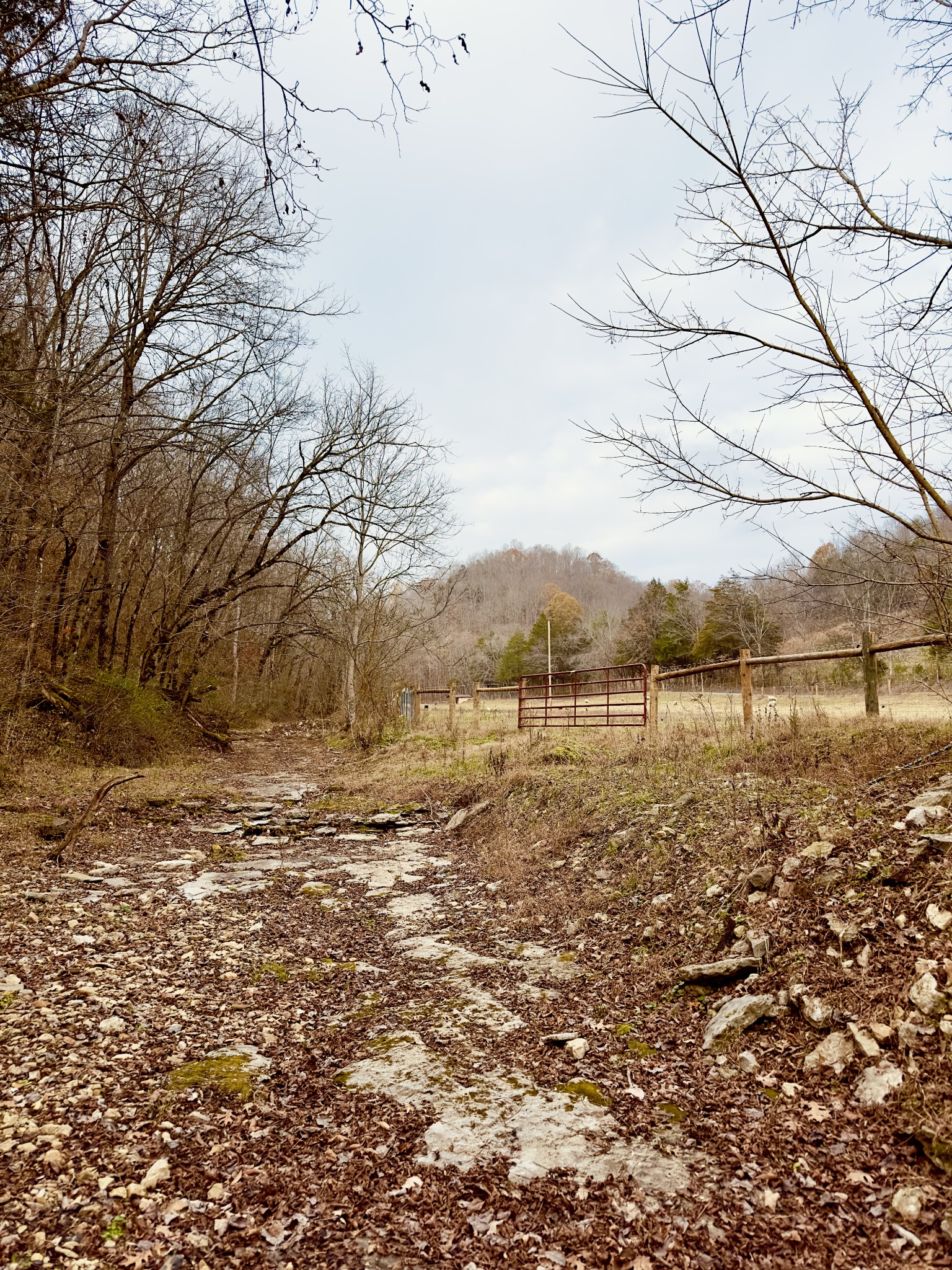 1611 Knob Creek Road Celina, TN 38551 - Photo 41 of 48