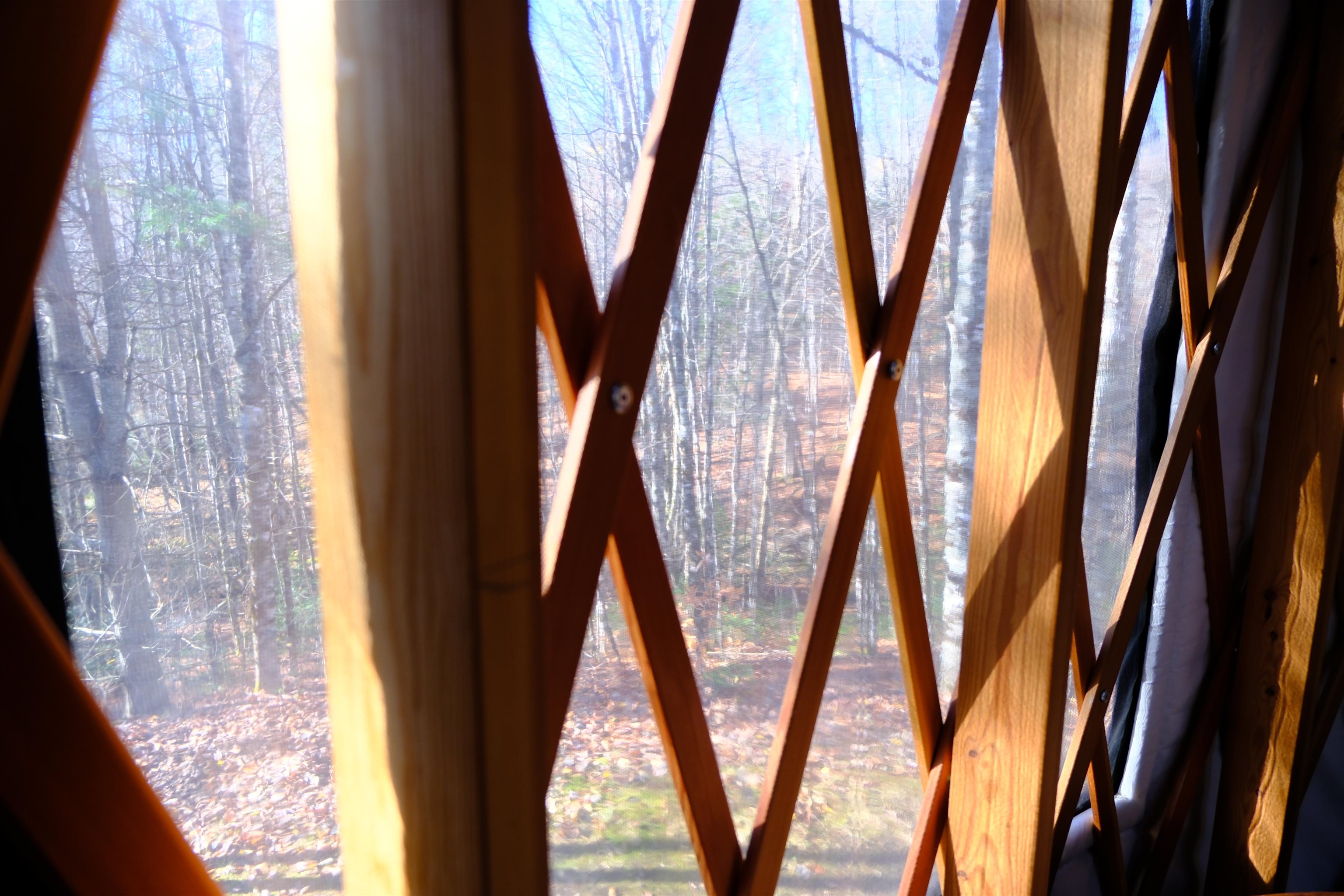 592 Vertical Mile Road Wheelock, VT 05851 - Photo 13 of 43