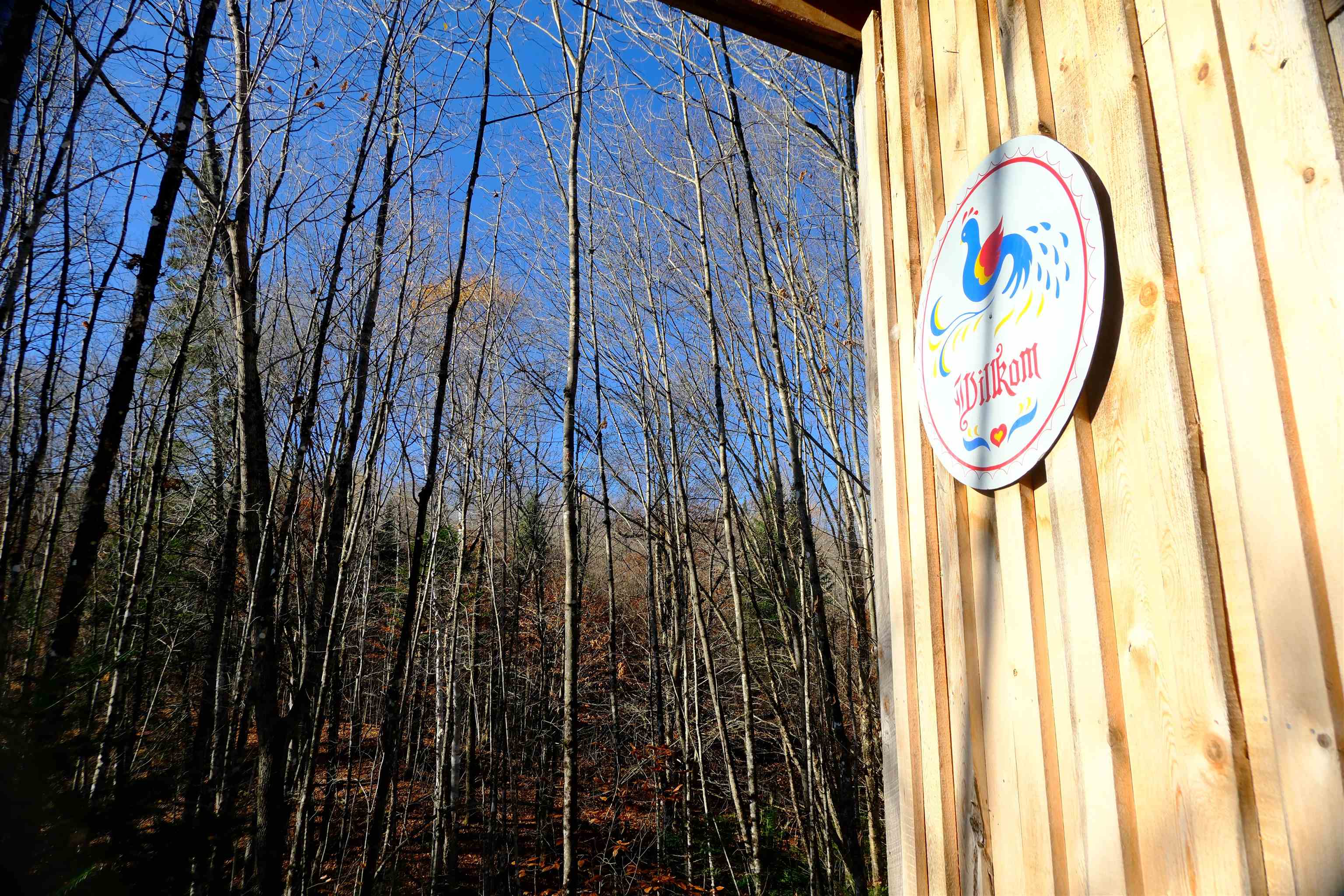 592 Vertical Mile Road Wheelock, VT 05851 - Photo 15 of 43