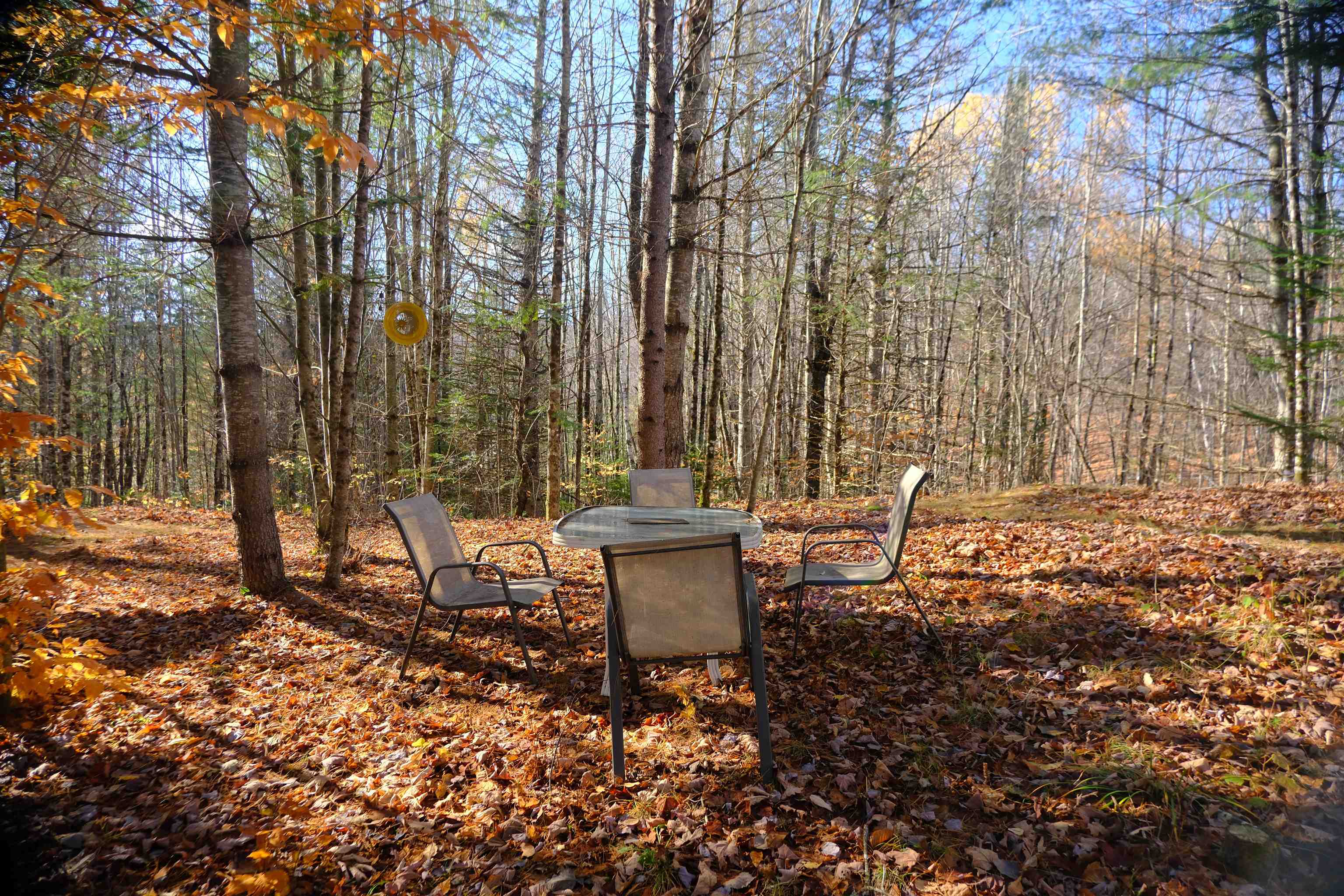 592 Vertical Mile Road Wheelock, VT 05851 - Photo 23 of 43