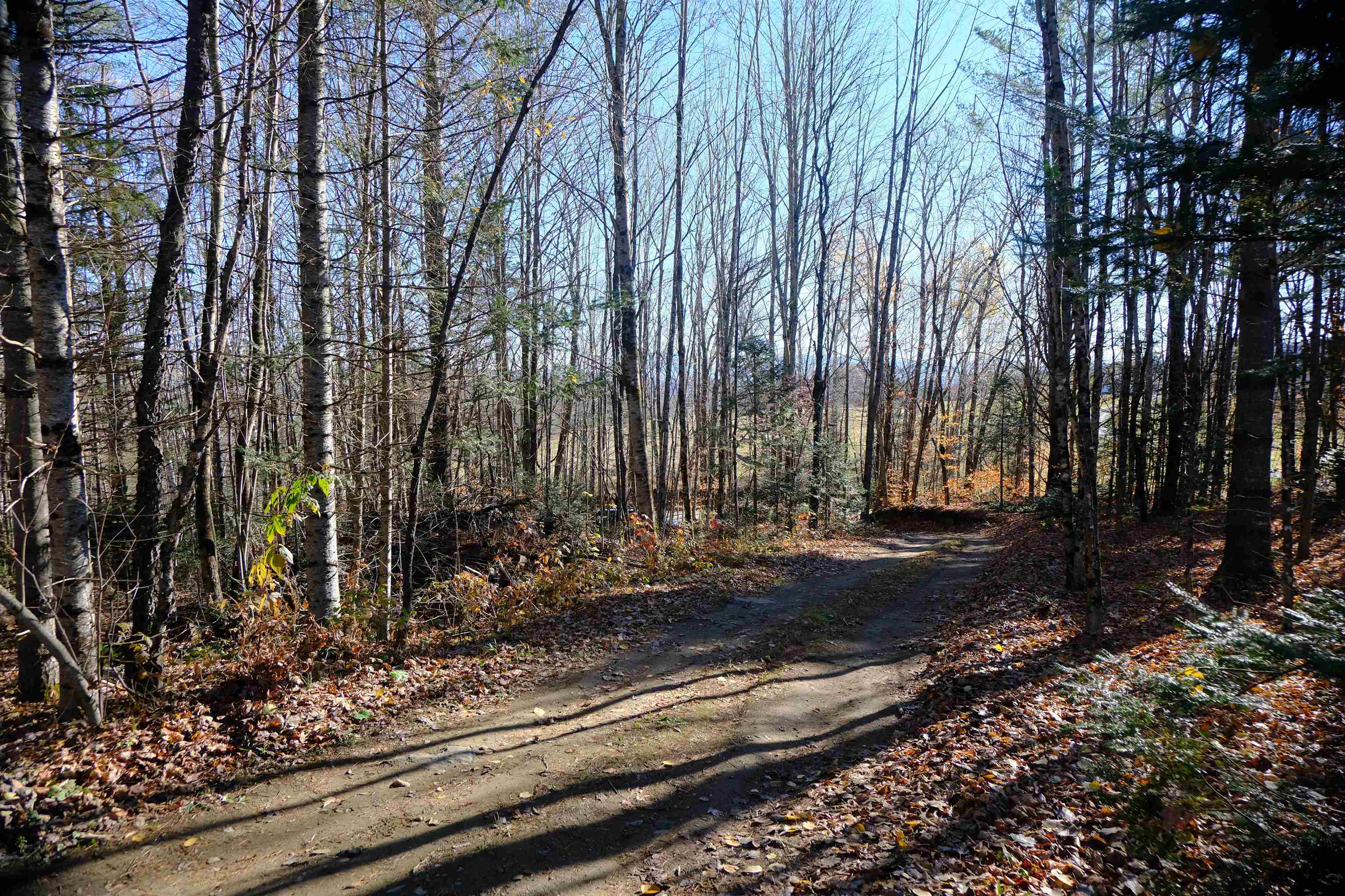 592 Vertical Mile Road Wheelock, VT 05851 - Photo 28 of 43