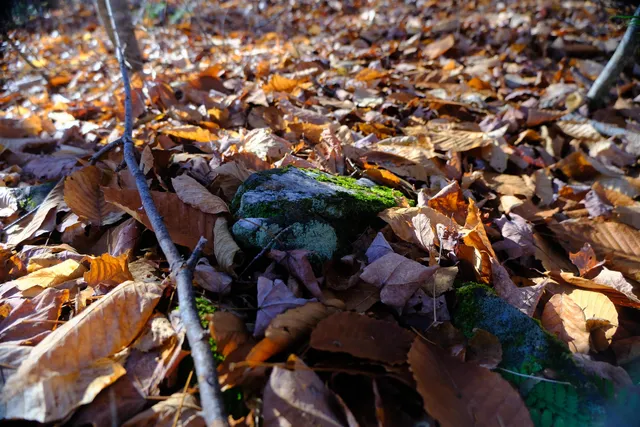 $121,121 | 592 Vertical Mile Road, Wheelock, VT 05851