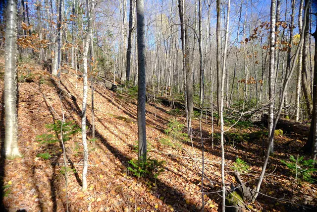 $121,121 | 592 Vertical Mile Road, Wheelock, VT 05851