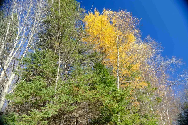 $121,121 | 592 Vertical Mile Road, Wheelock, VT 05851