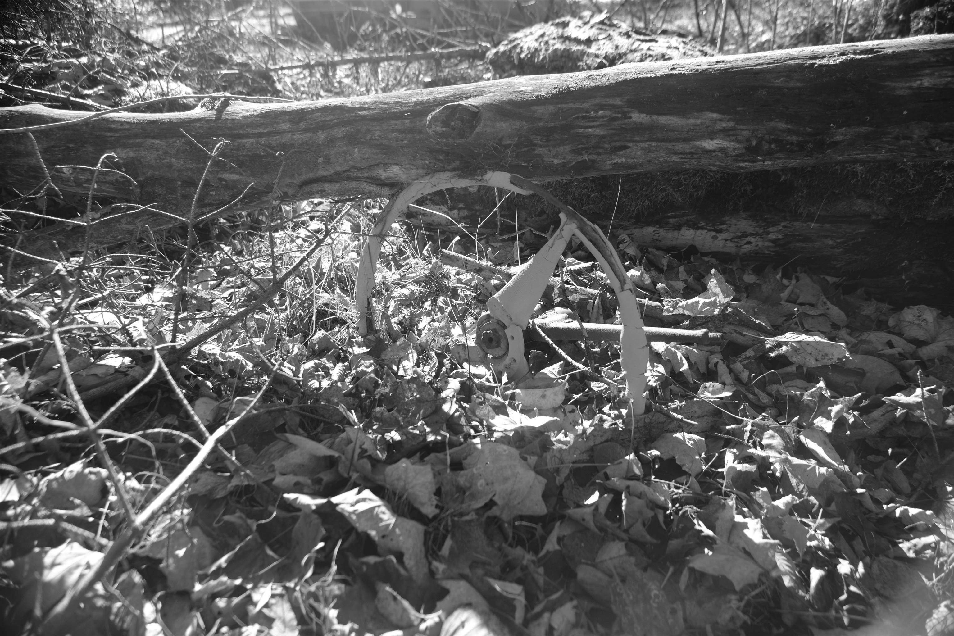 592 Vertical Mile Road Wheelock, VT 05851 - Photo 43 of 43