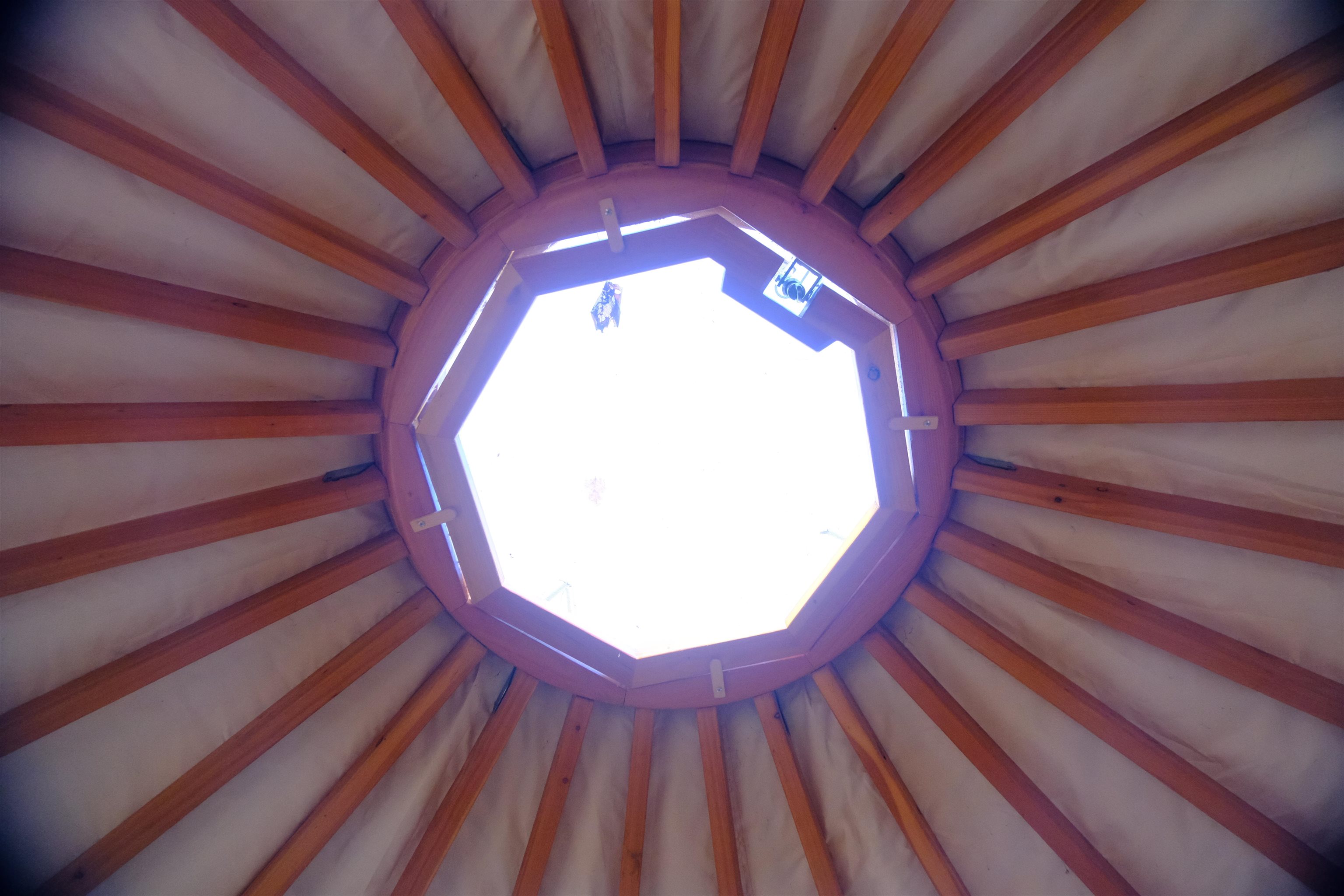 592 Vertical Mile Road Wheelock, VT 05851 - Photo 10 of 43