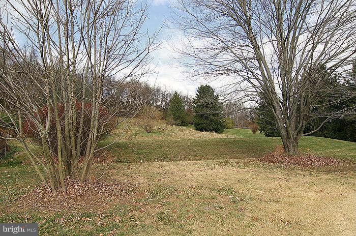 3604 Lineboro Road Manchester, MD 21102 - Photo 17 of 20 Back yard