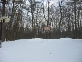 32 Old Derry Road Londonderry, NH 03038 - Photo 2 of 8