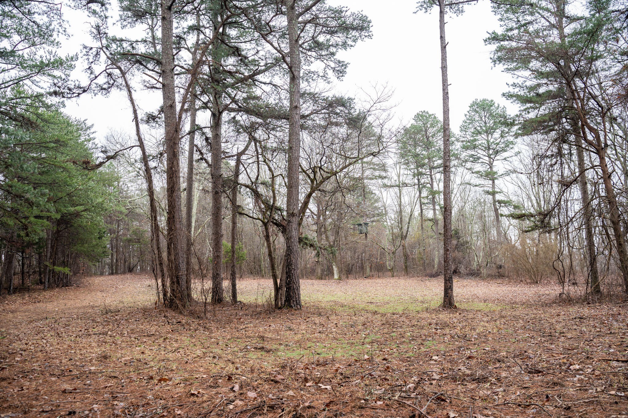 0 Leiderman Road Trenton, GA 30752 - Photo 28 of 50