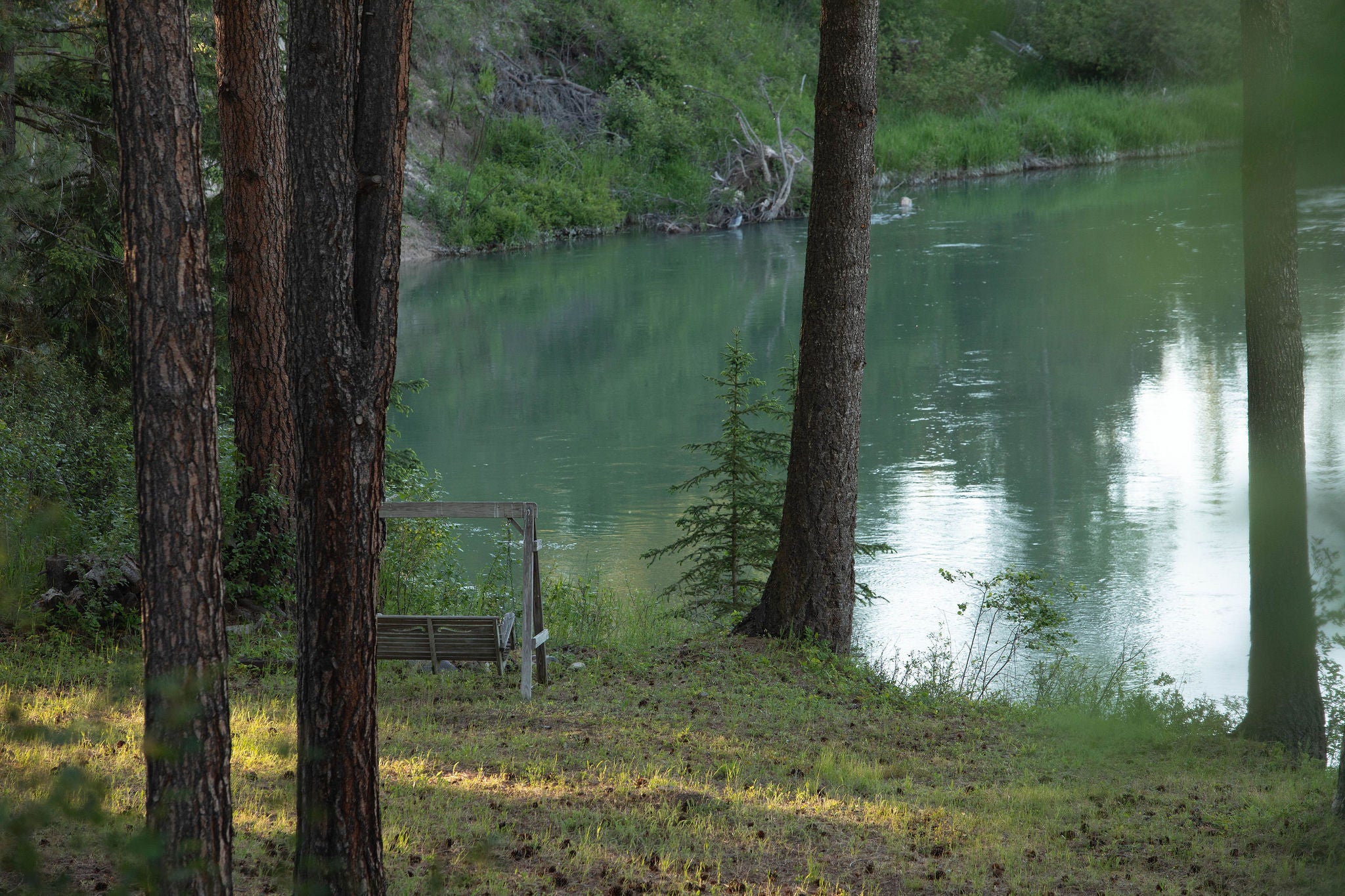 979 Hodgson Road Columbia Falls, MT 59912 - Photo 23 of 81 Gallery Image 23