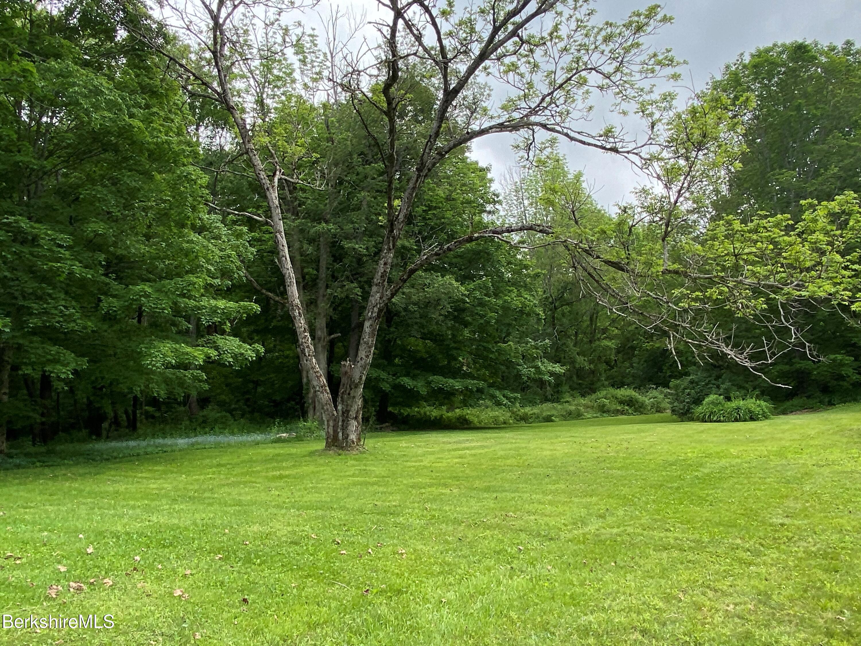 983 State Road Richmond, MA 01254 - Photo 11 of 47 a view of outdoor space with a garden