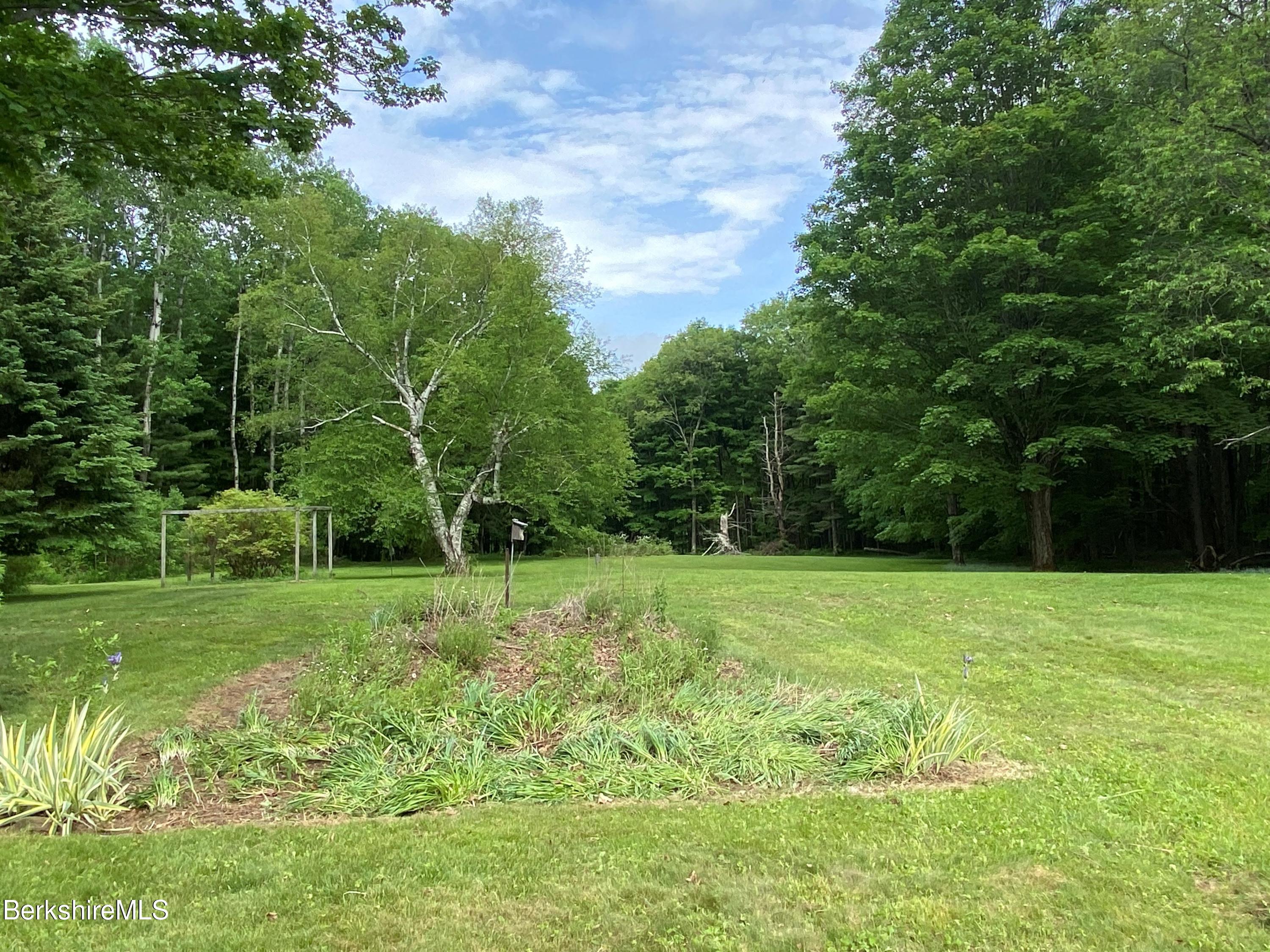 983 State Road Richmond, MA 01254 - Photo 13 of 47 a view of a grassy field with trees