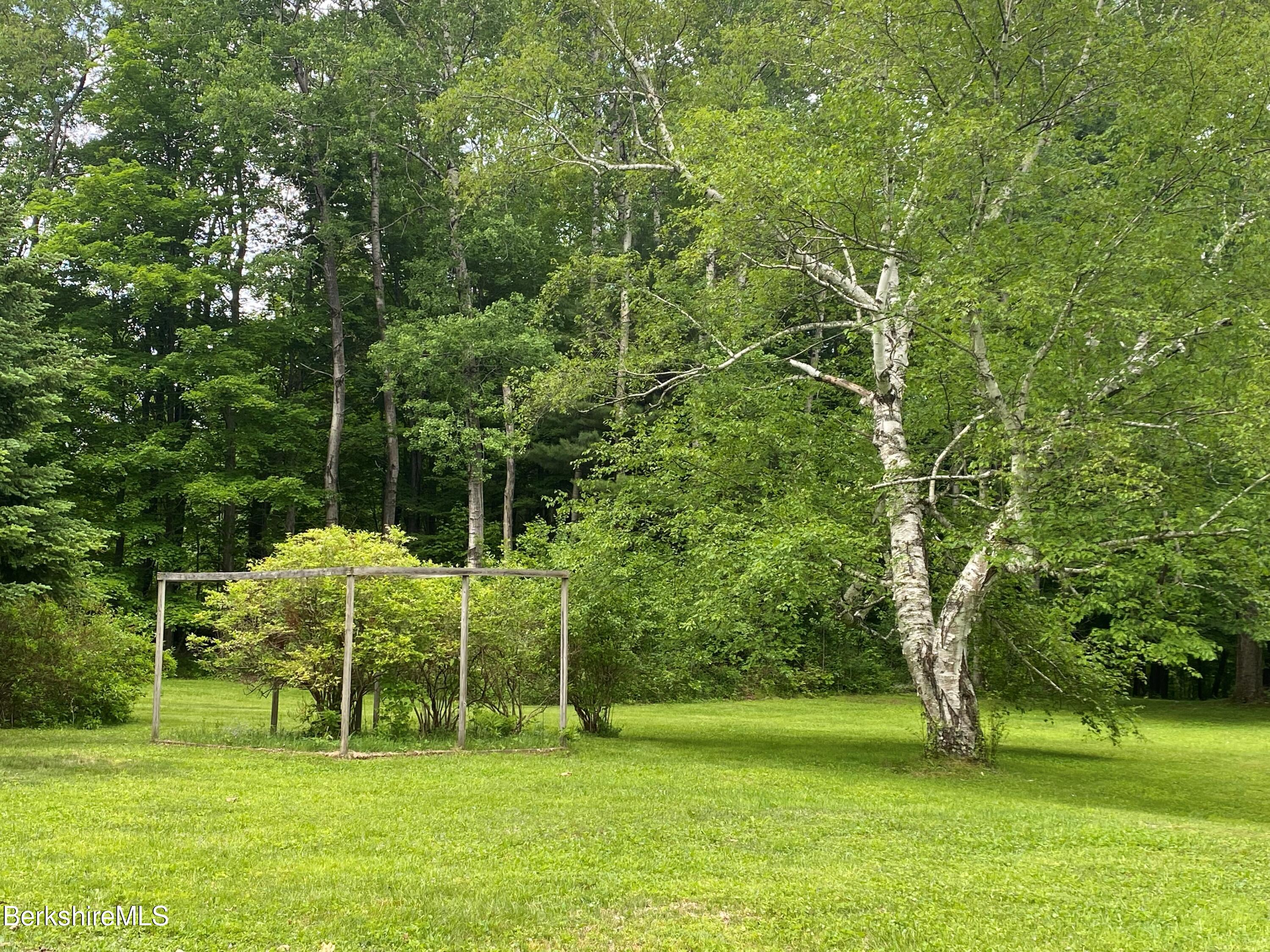 983 State Road Richmond, MA 01254 - Photo 14 of 47 a view of a park with large trees
