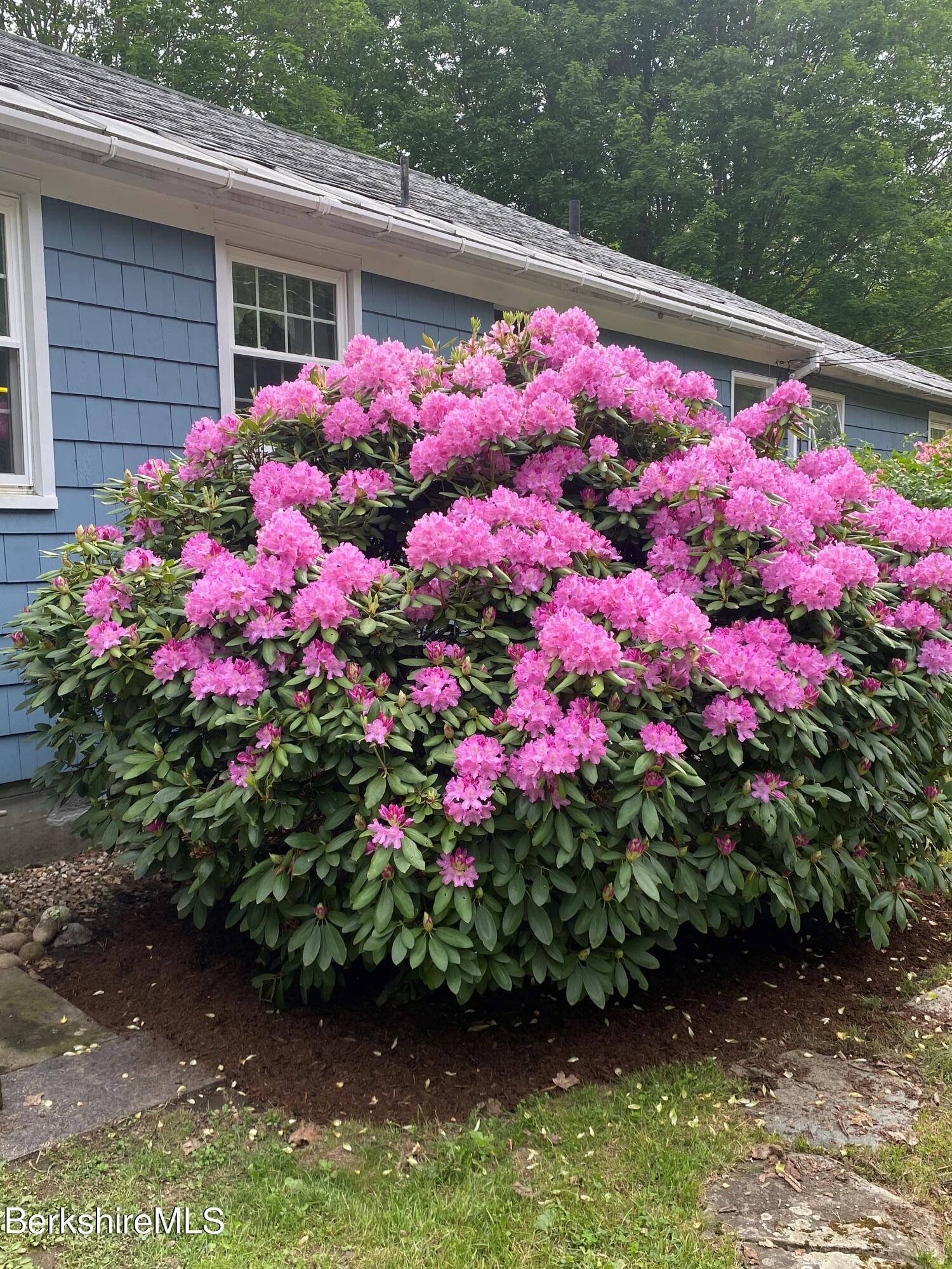 983 State Road Richmond, MA 01254 - Photo 3 of 47 a view of yard with flower and flowers