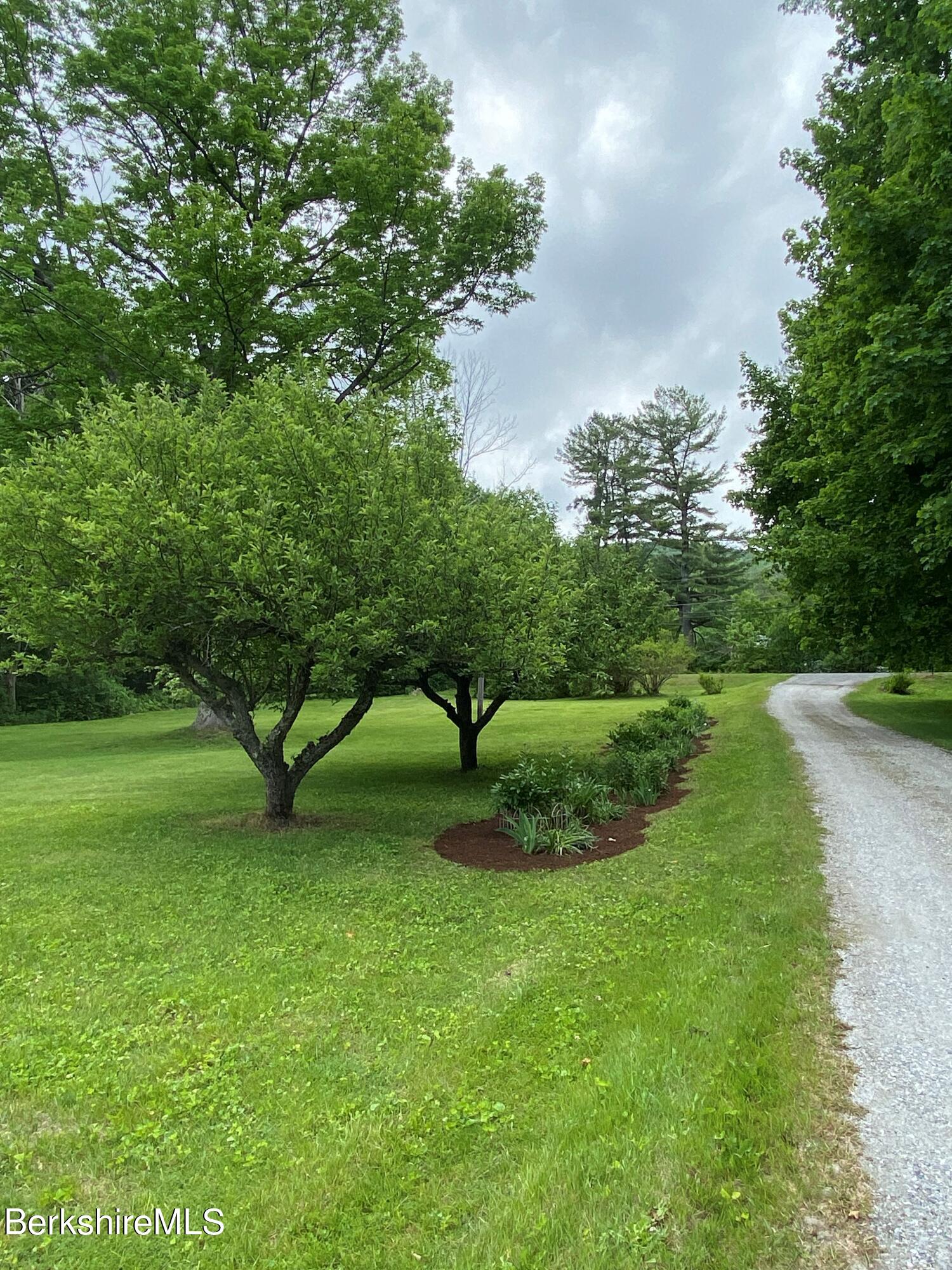 983 State Road Richmond, MA 01254 - Photo 4 of 47 a view of a garden with a tree