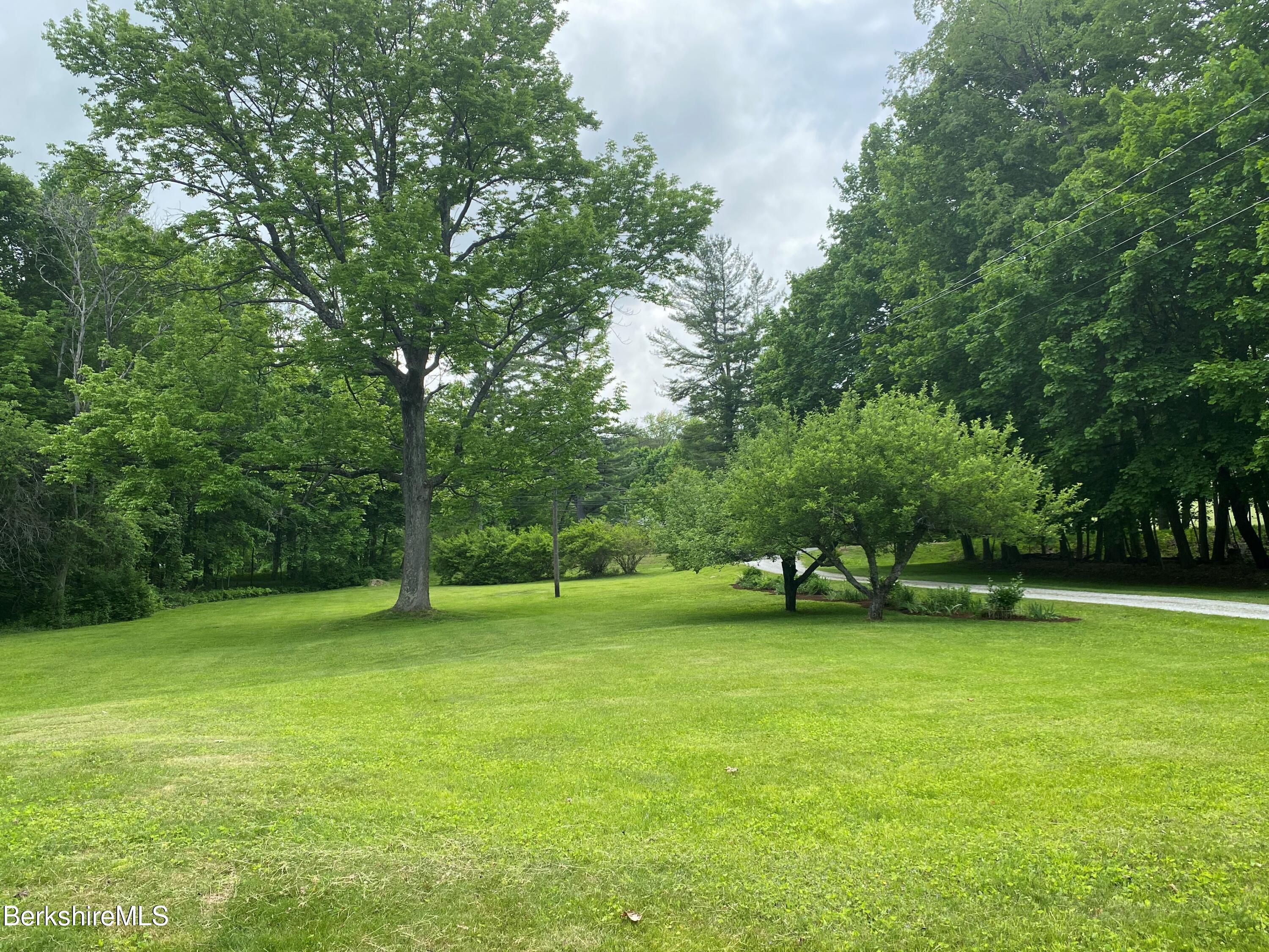 983 State Road Richmond, MA 01254 - Photo 5 of 47 a view of a park with large trees
