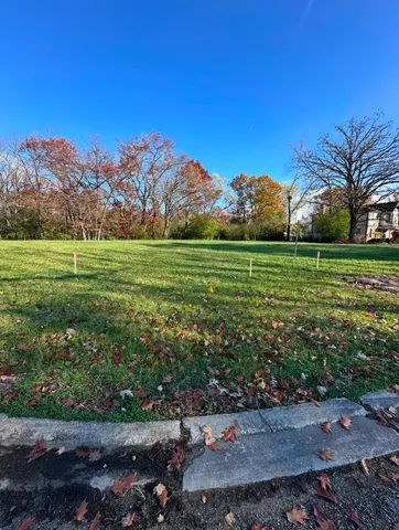 a view of a grassy field with trees