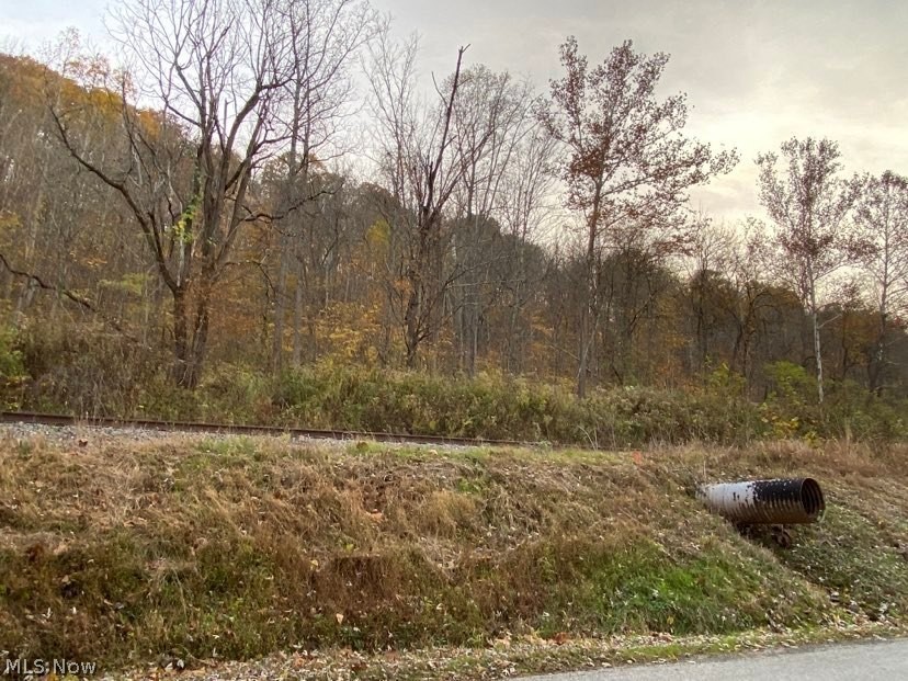Muskingum River Road Lowell, OH 45744 - Photo 10 of 22