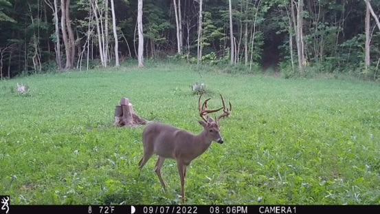 0 Us Rt 50 Bainbridge, OH 45612 - Photo 13 of 29 13
