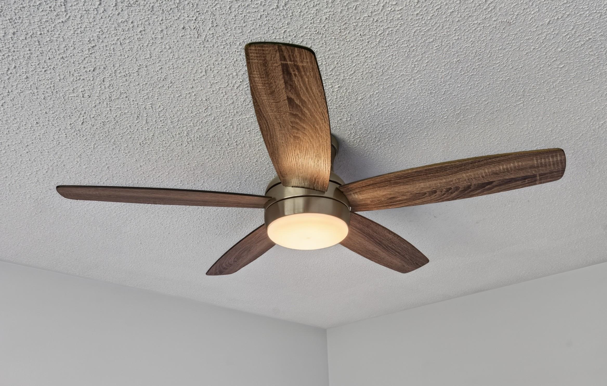 20 Two Gait Lane Simpsonville, SC 29680 - Photo 9 of 50 Modern Ceiling Fan Detail